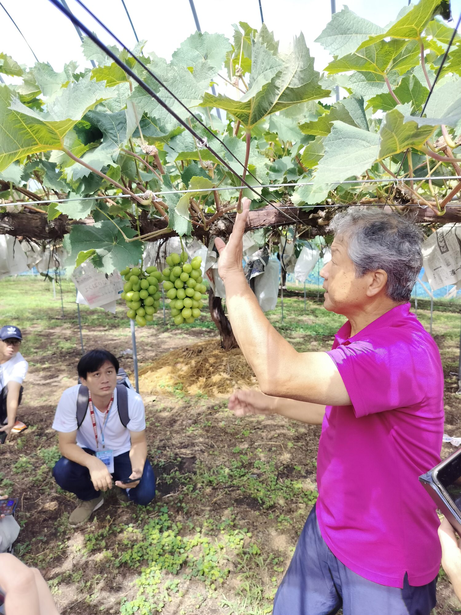 活動紀錄┃台日休閒農業交流 「農業部X茨城縣」 六級產業 觀光農業 行程規劃中日協調 台日コーディネーター