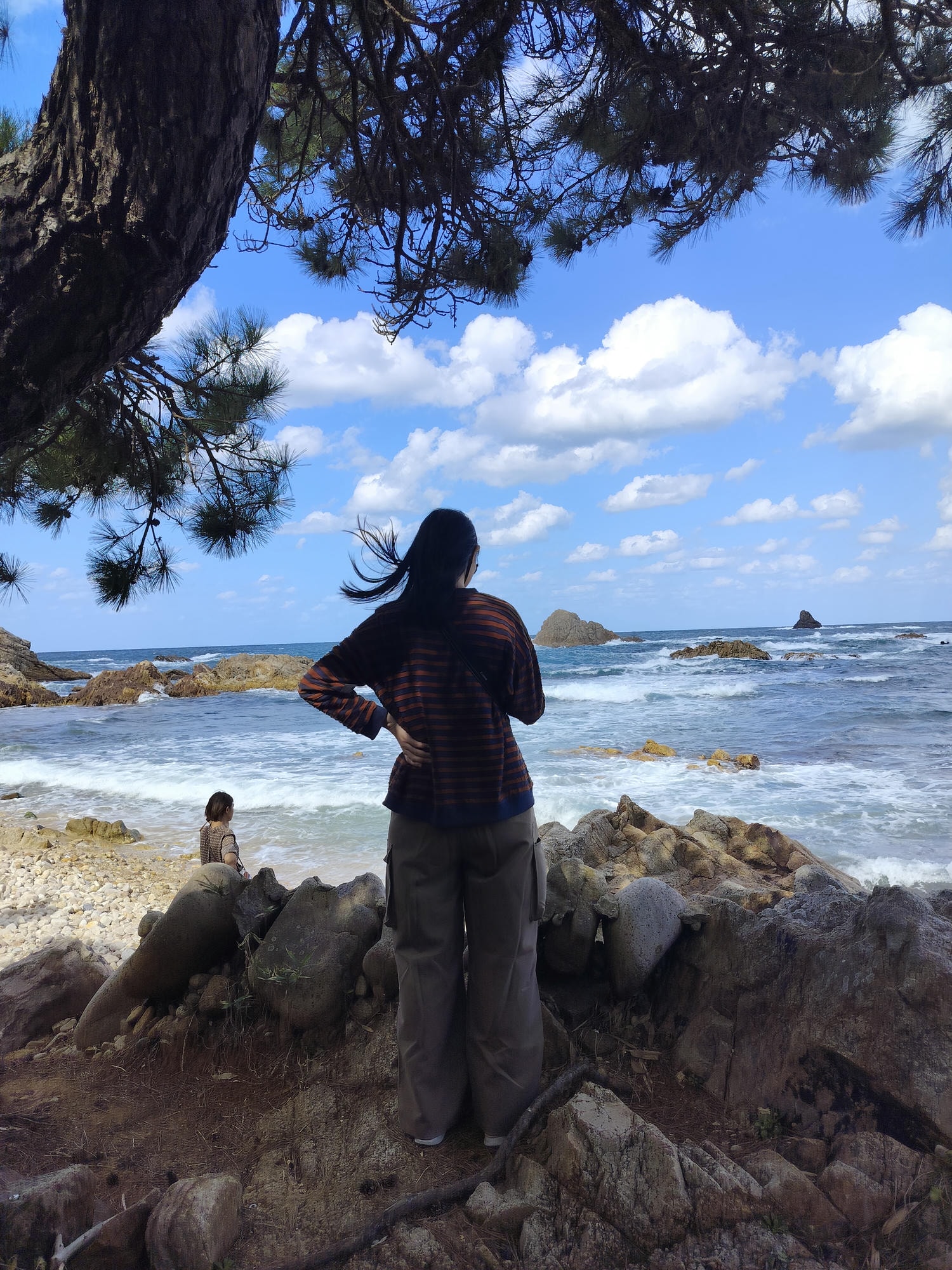 鳥取計程車┃(2024最新總整理)超優惠3小時1輛4000日幣(海外遊客限定)23路線套餐-周遊計程車鳥取站旁現場申請