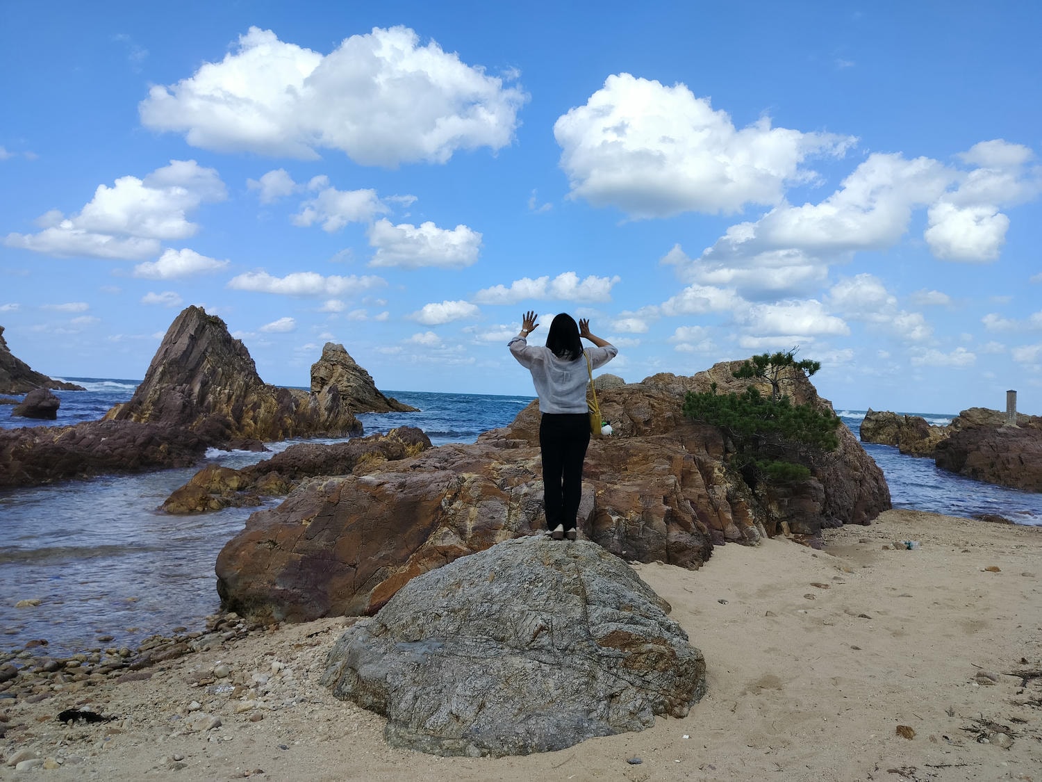 鳥取計程車┃(2024最新總整理)超優惠3小時1輛4000日幣(海外遊客限定)23路線套餐-周遊計程車鳥取站旁現場申請