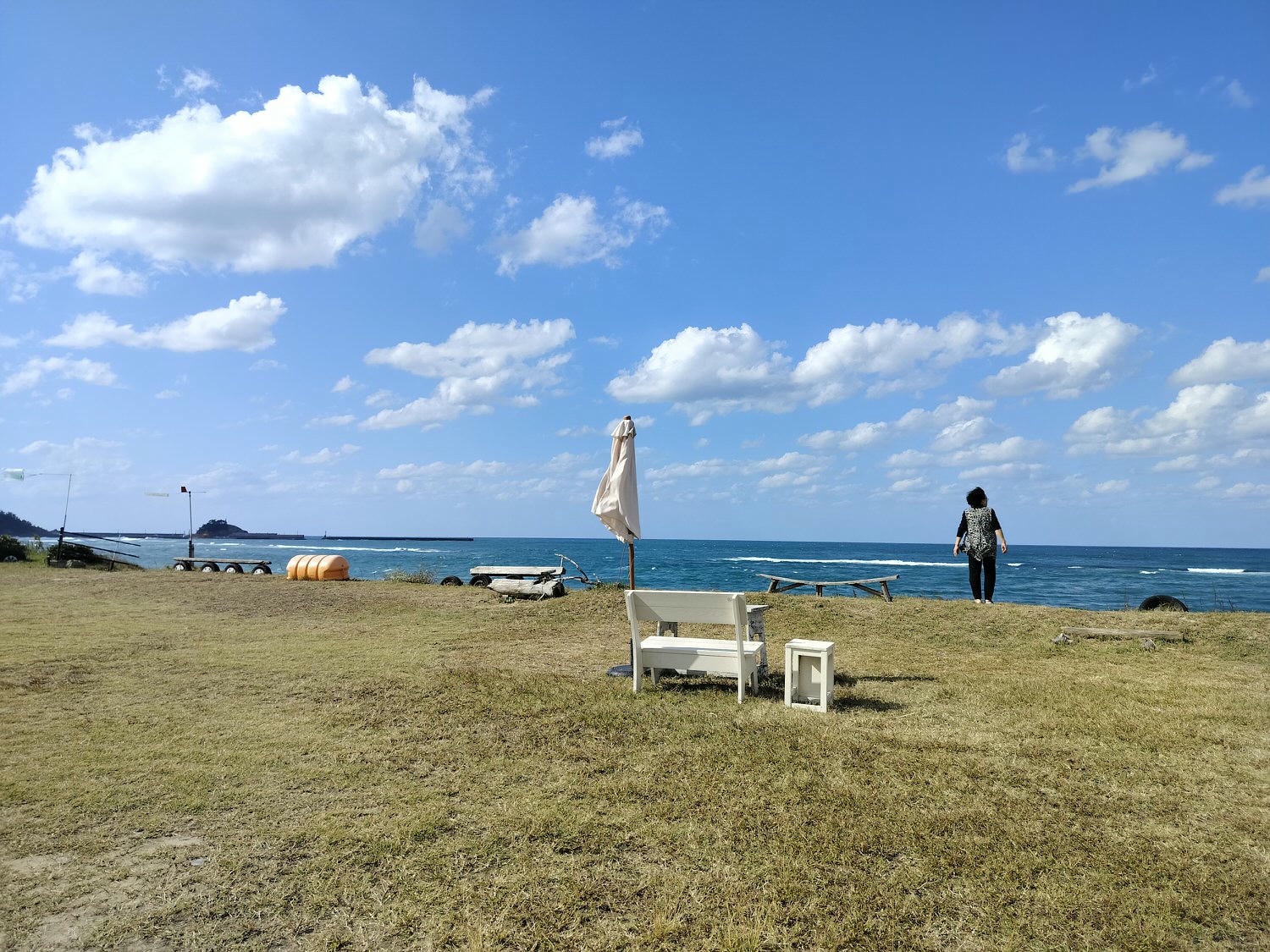 鳥取美食┃鳥取市超愛這三家 cafe bloom坐在海邊喝咖啡 孤獨美食家親民「牛雜鐵板炒麵」 猛者蝦「村上水產」