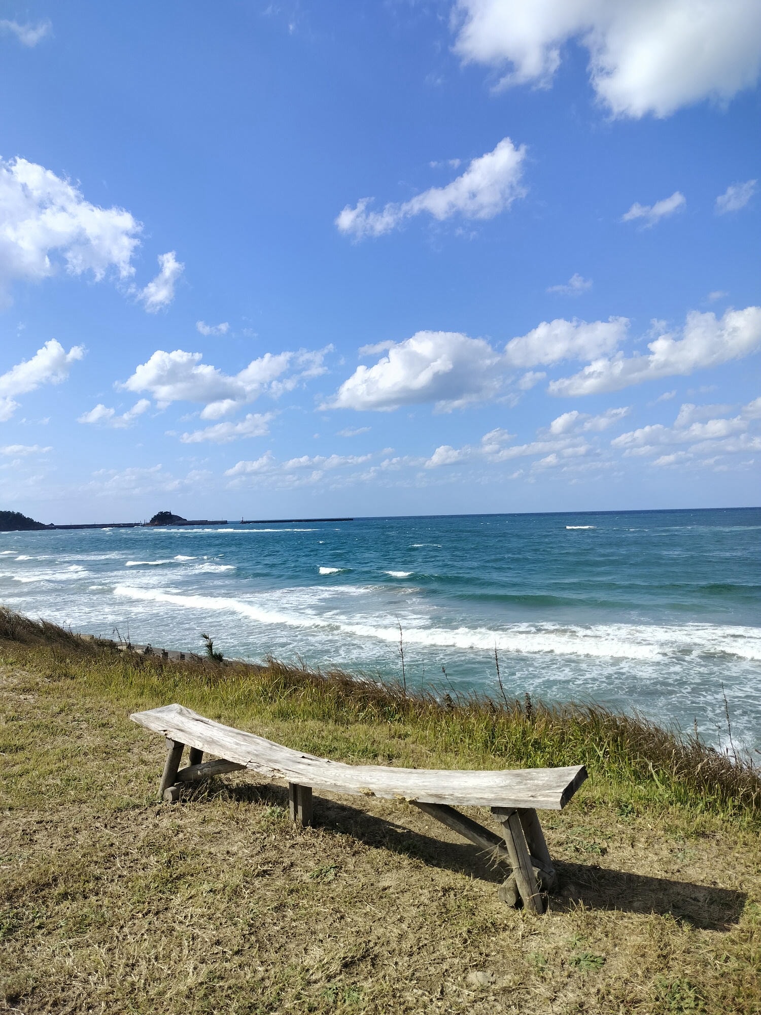 鳥取美食┃鳥取市超愛這三家 cafe bloom坐在海邊喝咖啡 孤獨美食家親民「牛雜鐵板炒麵」 猛者蝦「村上水產」