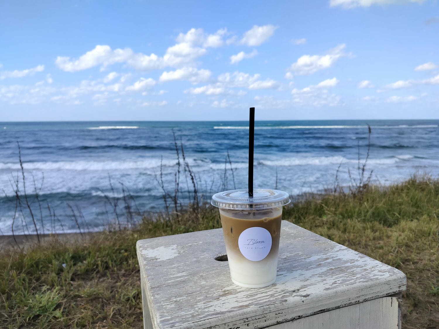 鳥取美食┃鳥取市超愛這三家 cafe bloom坐在海邊喝咖啡 孤獨美食家親民「牛雜鐵板炒麵」 猛者蝦「村上水產」