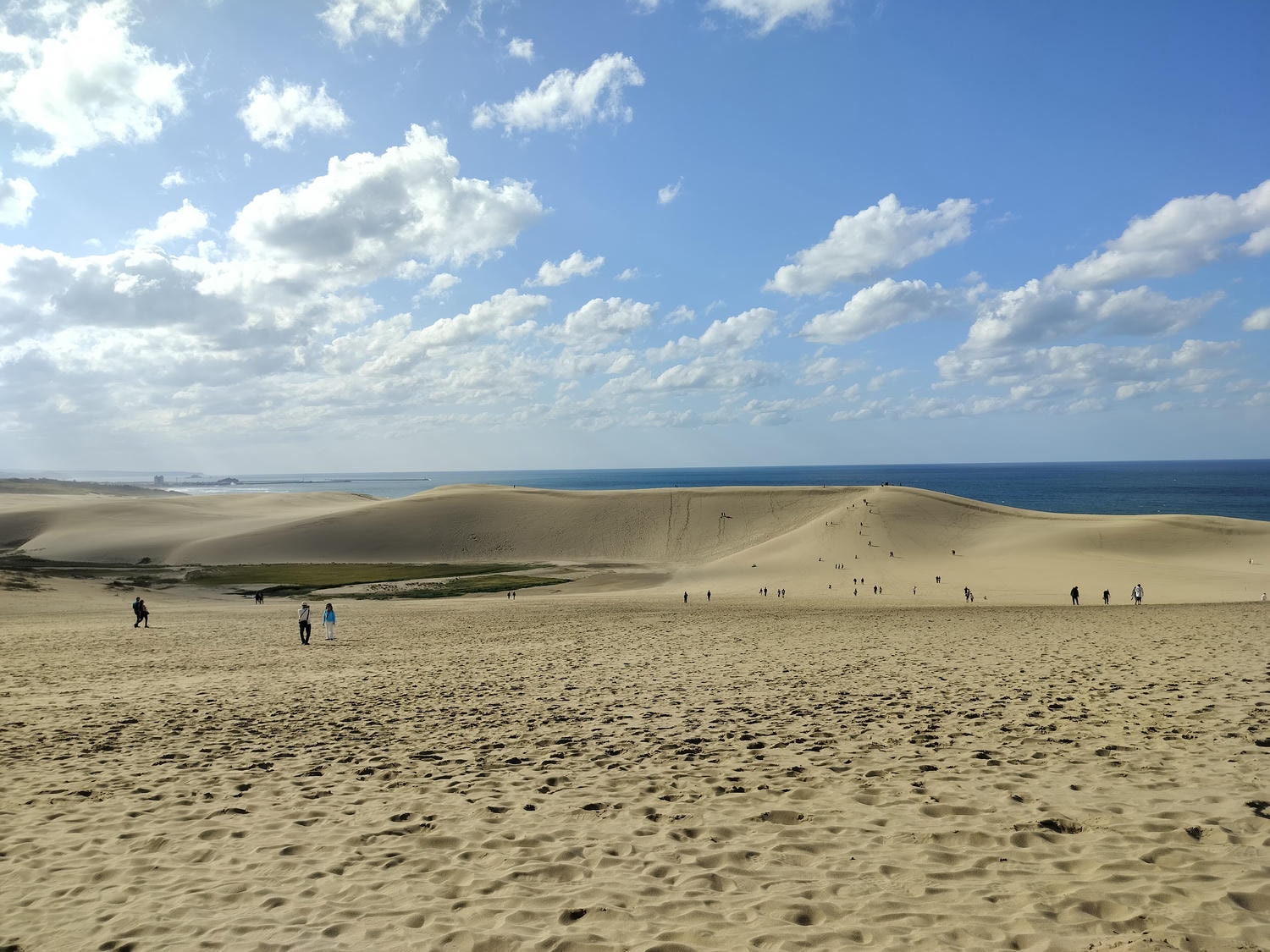 鳥取計程車┃(2024最新總整理)超優惠3小時1輛4000日幣(海外遊客限定)23路線套餐-周遊計程車鳥取站旁現場申請