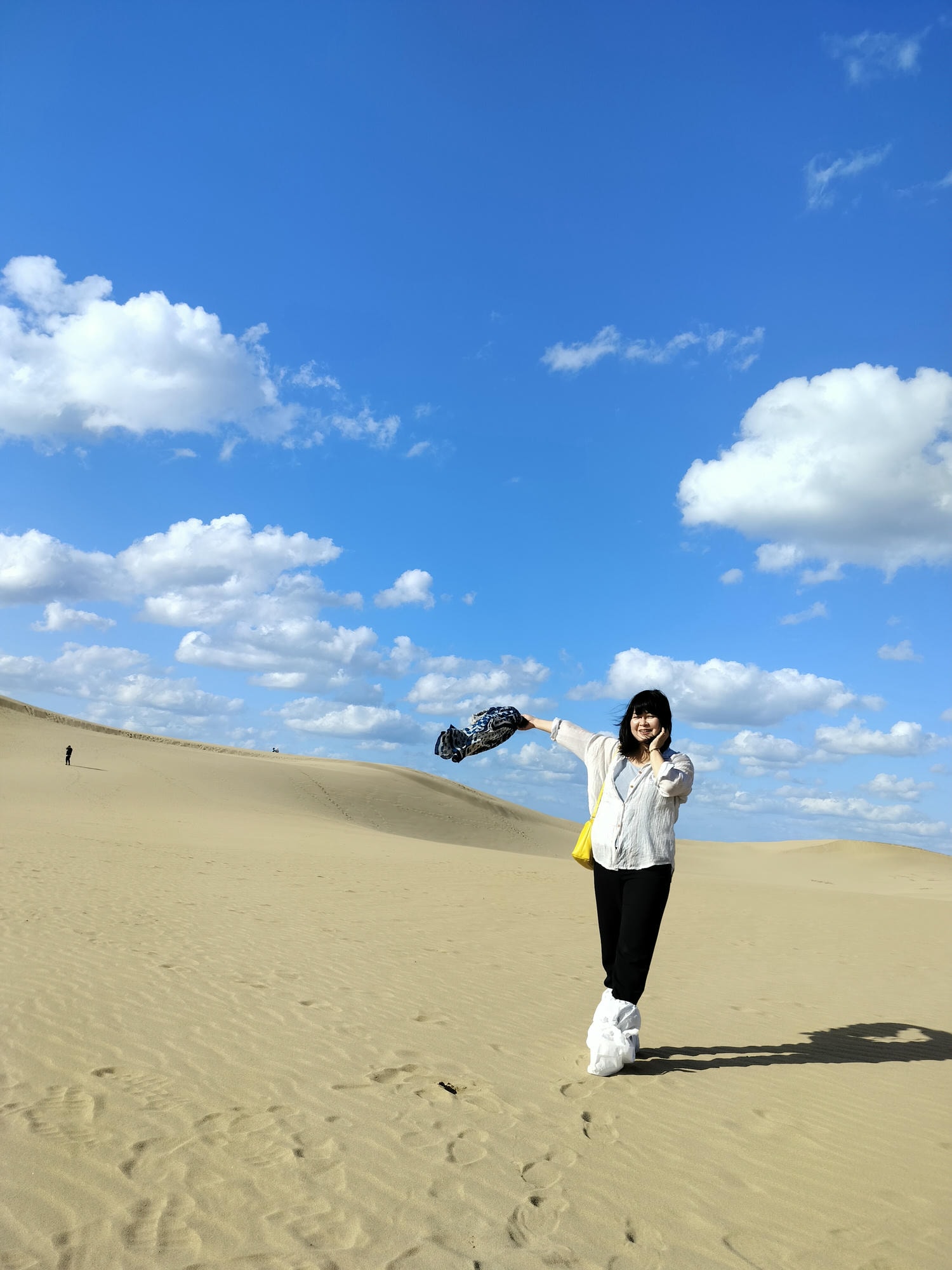 鳥取計程車┃(2024最新總整理)超優惠3小時1輛4000日幣(海外遊客限定)23路線套餐-周遊計程車鳥取站旁現場申請