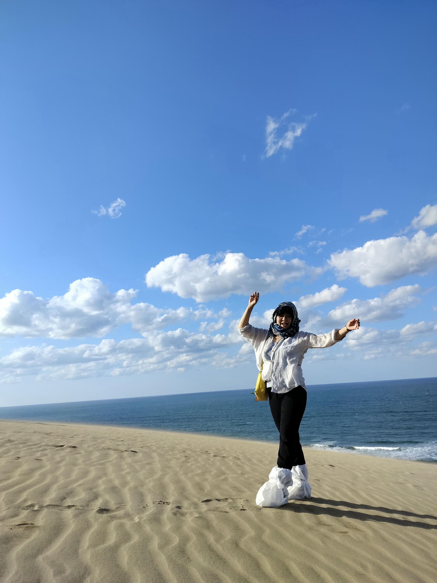 鳥取計程車┃(2024最新總整理)超優惠3小時1輛4000日幣(海外遊客限定)23路線套餐-周遊計程車鳥取站旁現場申請