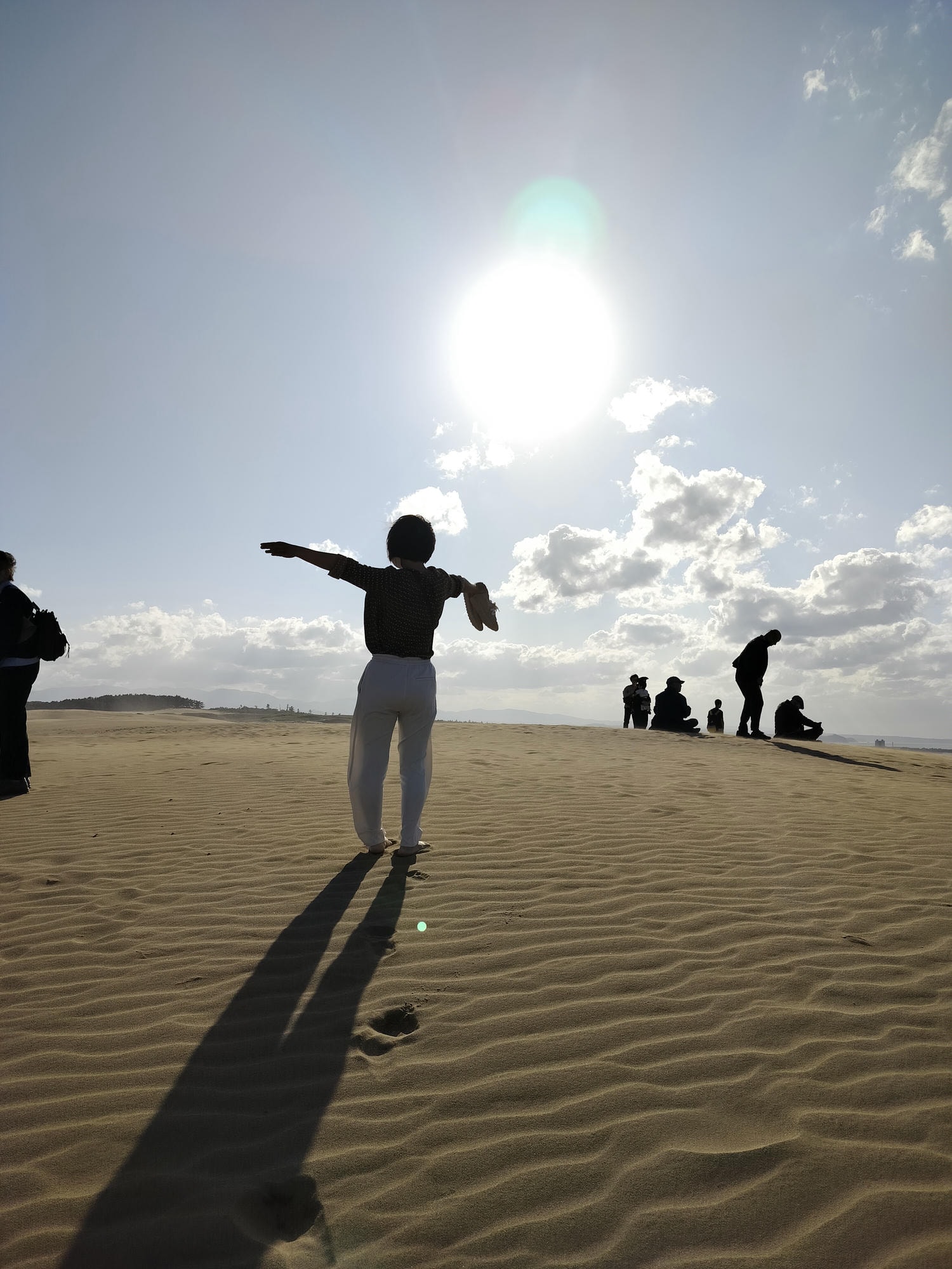 鳥取計程車┃(2024最新總整理)超優惠3小時1輛4000日幣(海外遊客限定)23路線套餐-周遊計程車鳥取站旁現場申請