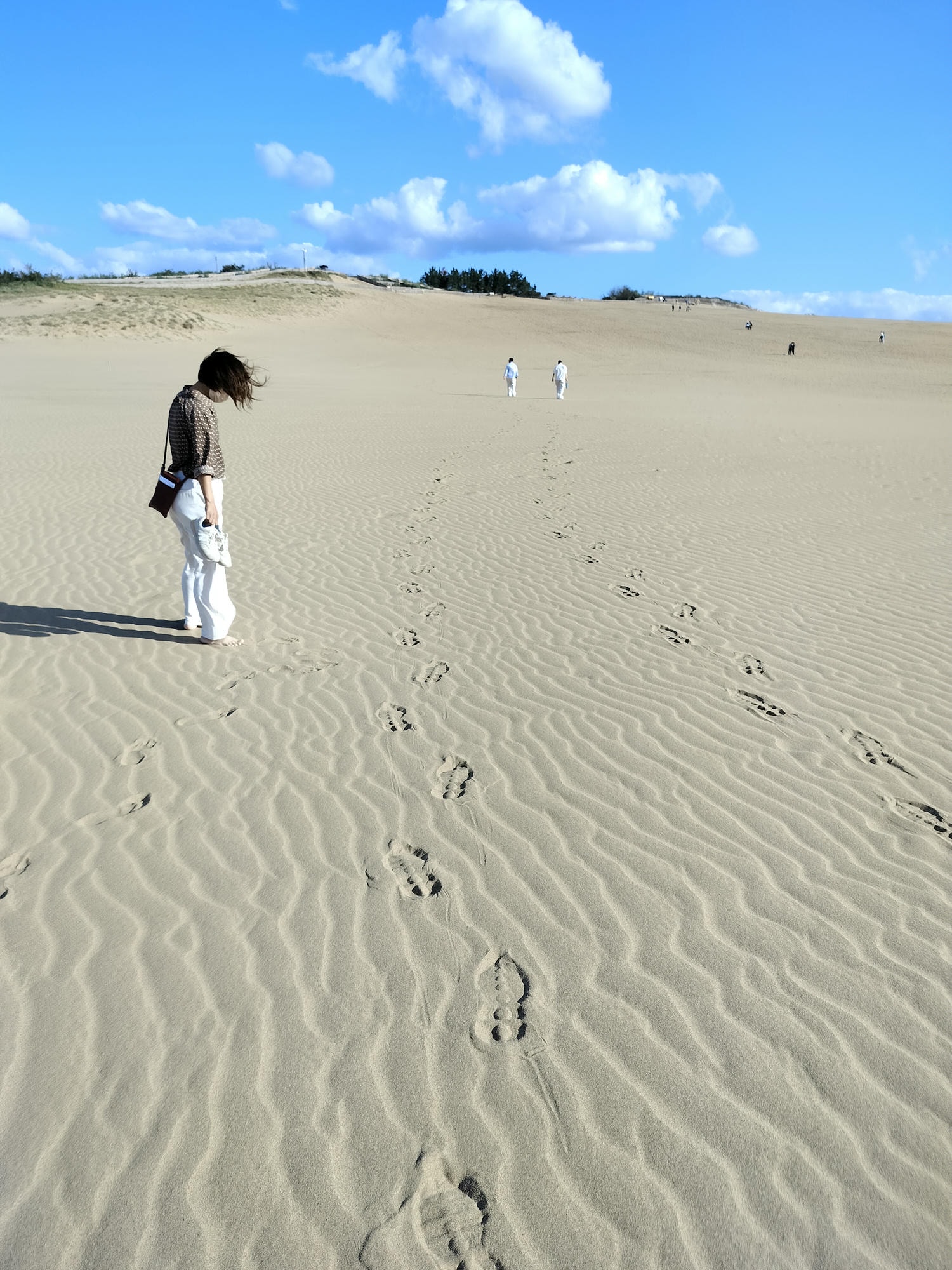 鳥取計程車┃(2024最新總整理)超優惠3小時1輛4000日幣(海外遊客限定)23路線套餐-周遊計程車鳥取站旁現場申請