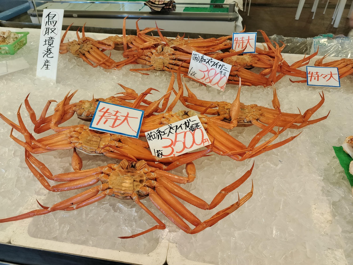 鳥取計程車┃(2024最新總整理)超優惠3小時1輛4000日幣(海外遊客限定)23路線套餐-周遊計程車鳥取站旁現場申請