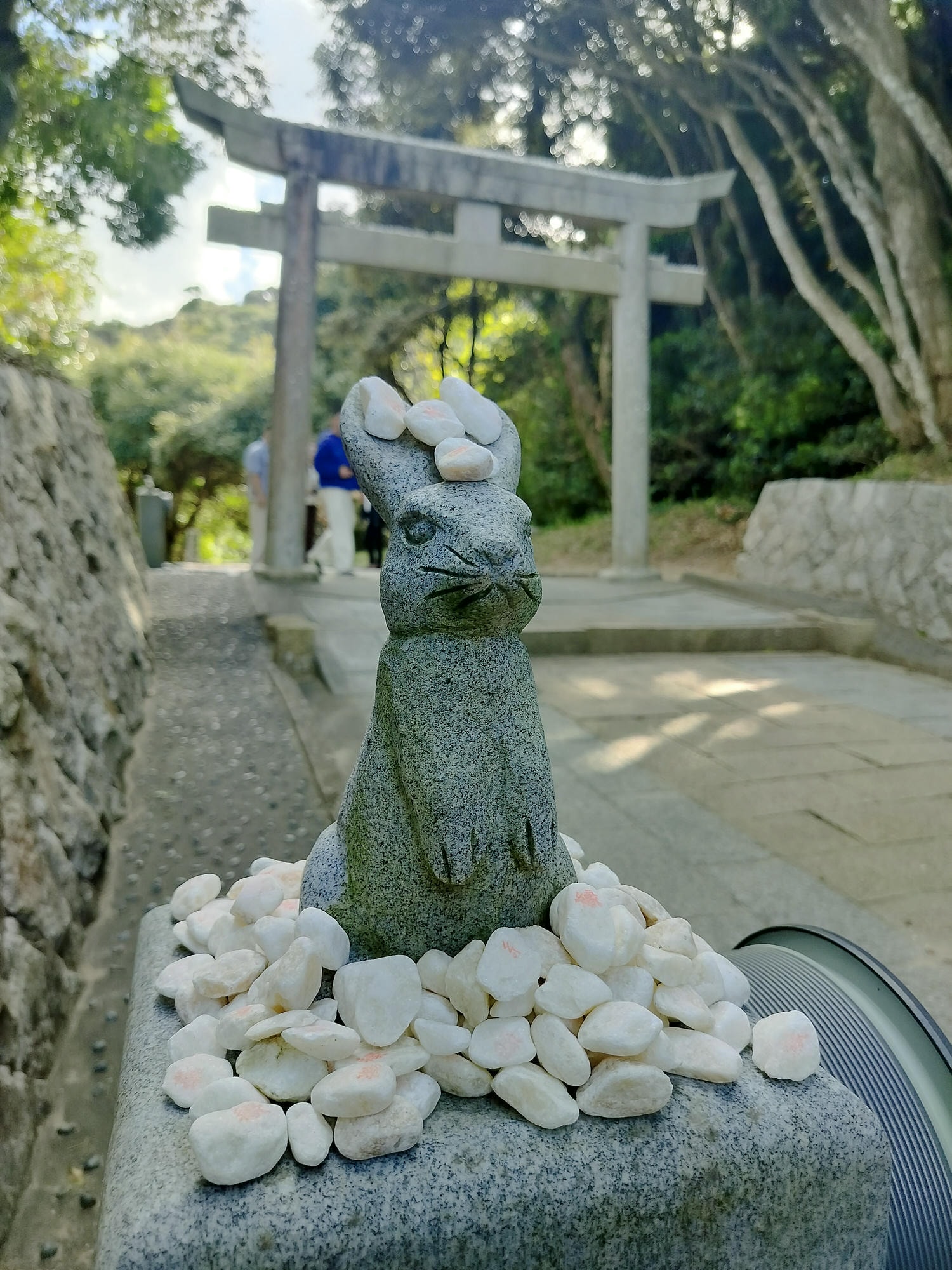 鳥取計程車┃(2024最新總整理)超優惠3小時1輛4000日幣(海外遊客限定)23路線套餐-周遊計程車鳥取站旁現場申請