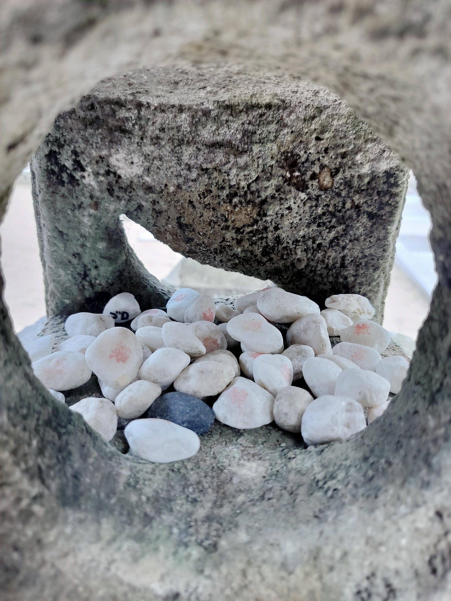 鳥取計程車┃(2024最新總整理)超優惠3小時1輛4000日幣(海外遊客限定)23路線套餐-周遊計程車鳥取站旁現場申請