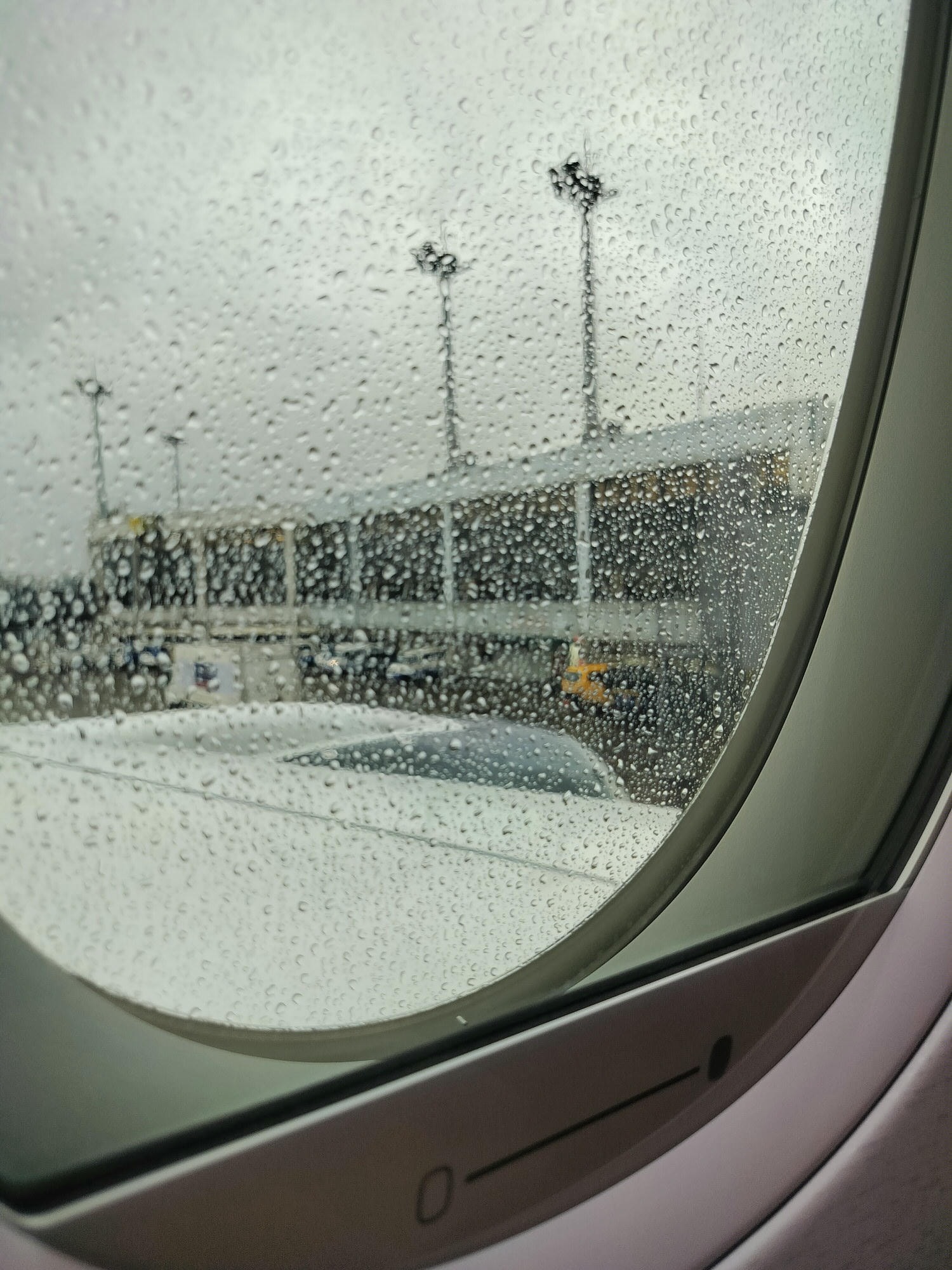 星宇航空┃ STARLUX Airlines星宇飛行記錄 星宇直飛熊本 德島 關西 名古屋 機上餐調酒圖多スターラックス航空