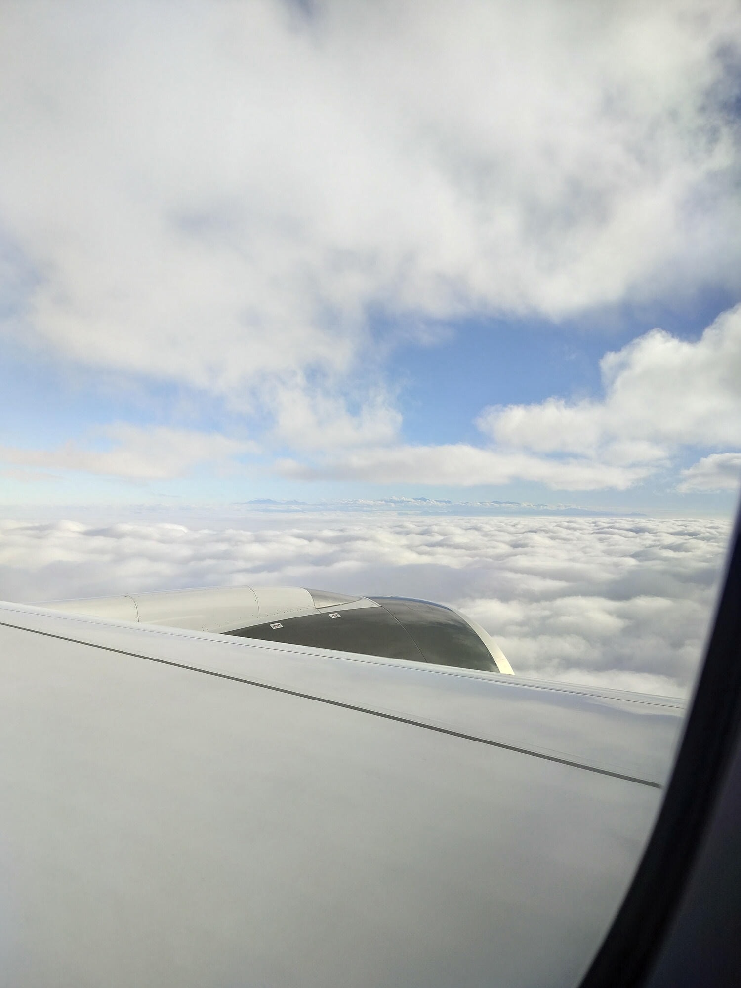 星宇航空┃ STARLUX Airlines星宇飛行記錄 星宇直飛熊本 德島 關西 名古屋 機上餐調酒圖多スターラックス航空