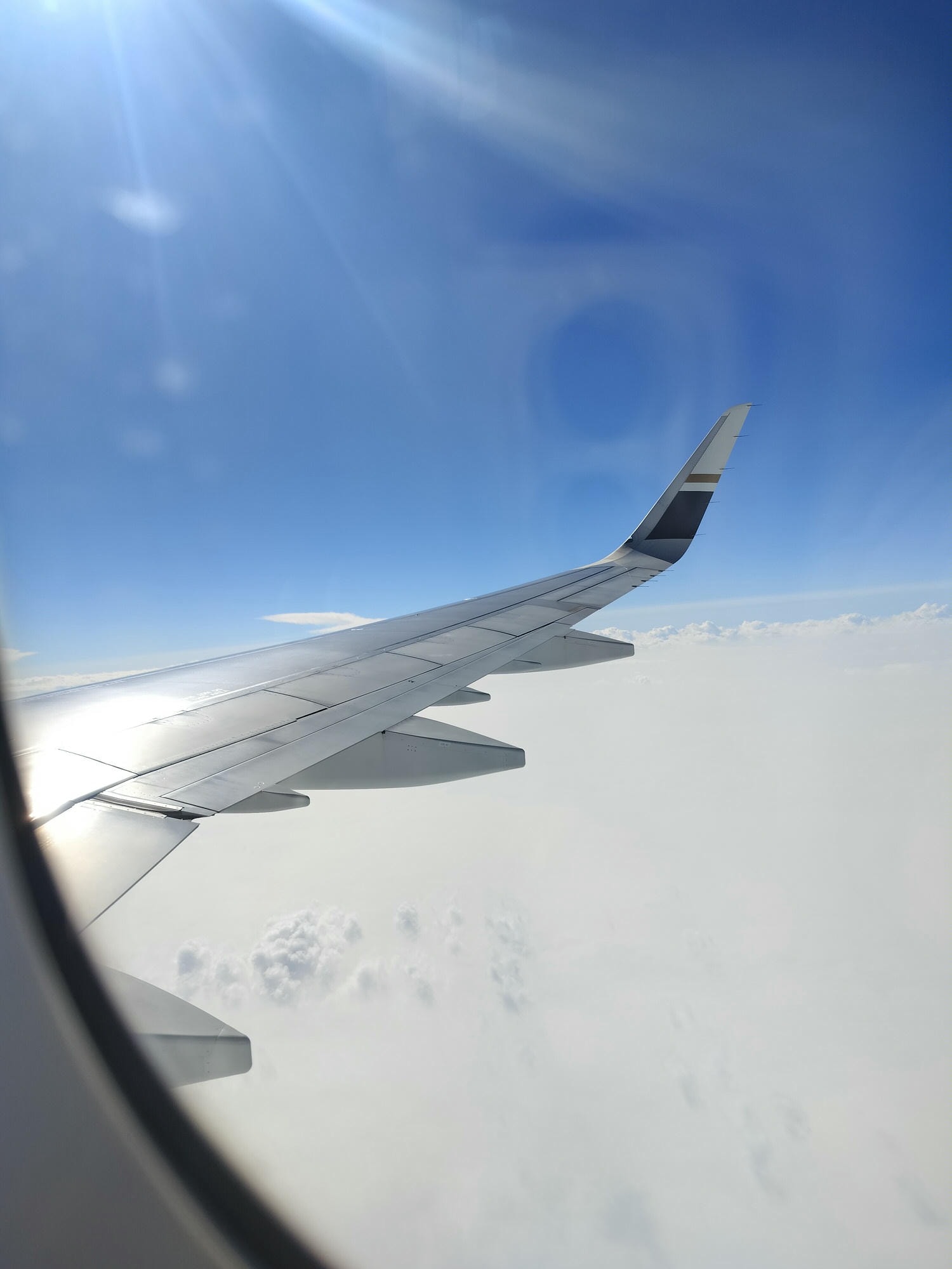 星宇航空┃ STARLUX Airlines星宇飛行記錄 星宇直飛熊本 德島 關西 名古屋 機上餐調酒圖多スターラックス航空