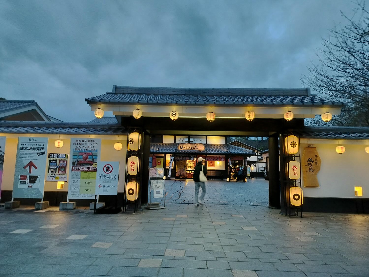 九州熊本┃直飛熊本 2024熊本城夜間點燈賞夜櫻 熊本城櫻花滿開超美 日本三大名城 路面電車熊本城市役所前下車