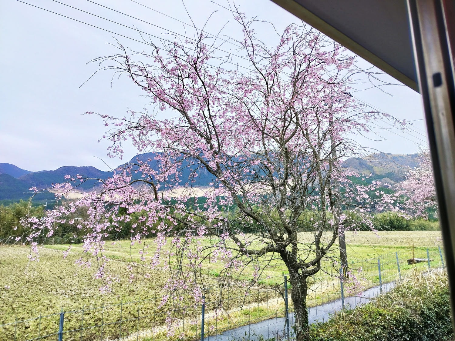 熊本景點南阿蘇┃立野站「南阿蘇鐵道」三款列車預約教學 高森站海賊迷佛朗基像 高森老街百年酒造醬油 赤牛漢堡排 - 第38張圖 熊本景點南阿蘇┃立野站「南阿蘇鐵道」三款列車預約教學 高森站海賊迷佛朗基像 高森老街百年酒造醬油 赤牛漢堡排