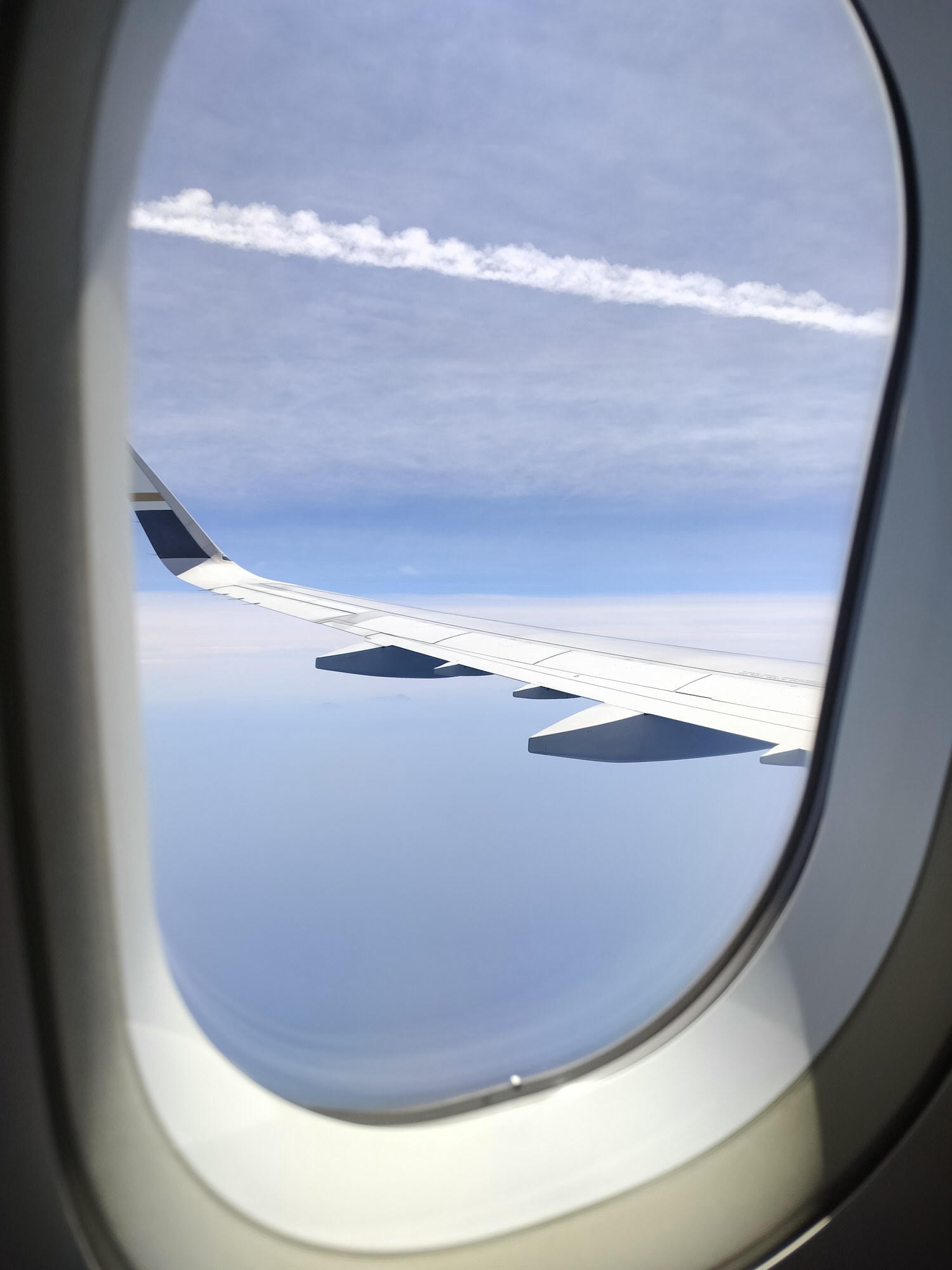 星宇航空┃ STARLUX Airlines星宇飛行記錄 星宇直飛熊本 德島 關西 名古屋 機上餐調酒圖多スターラックス航空