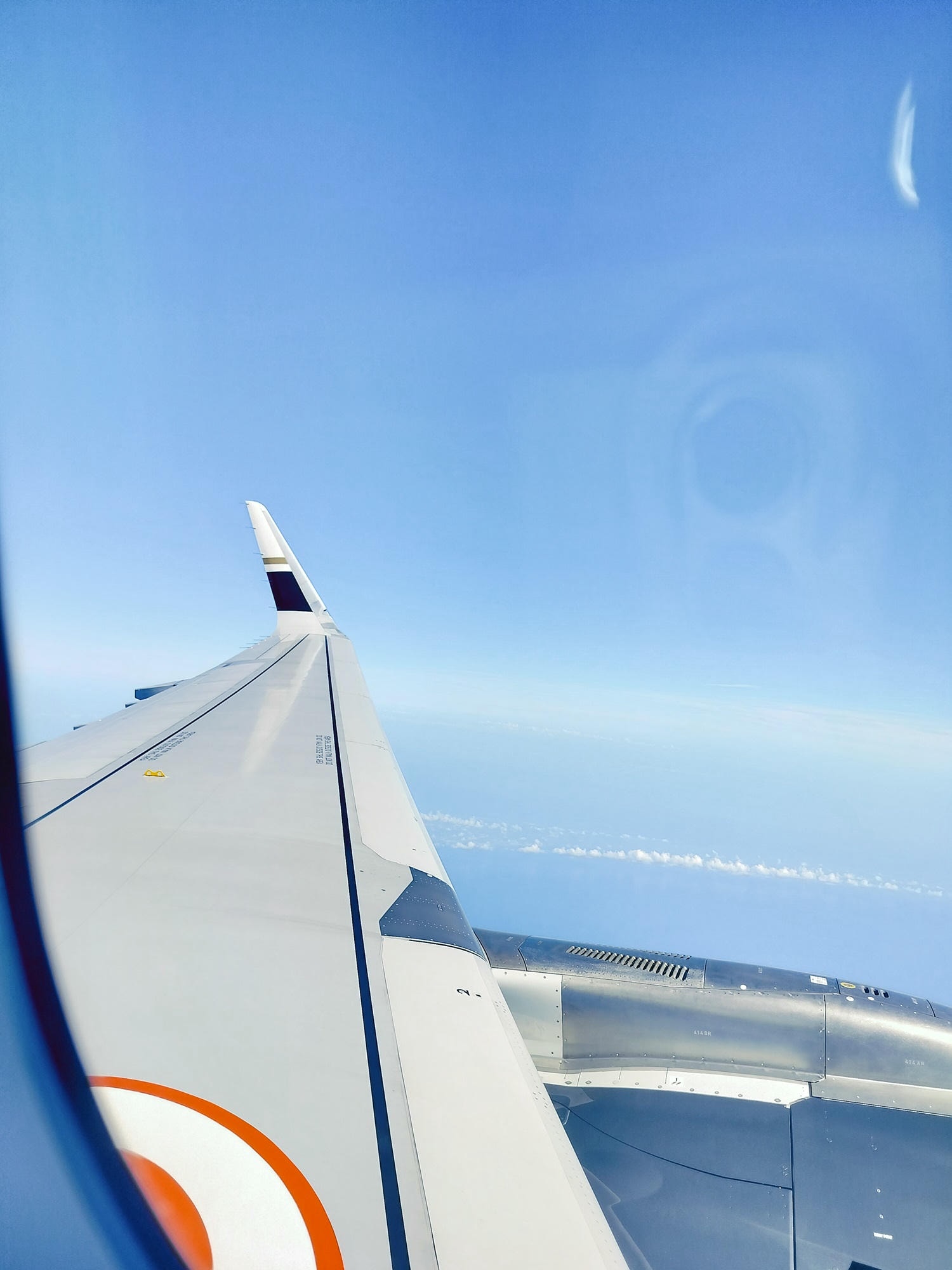 星宇航空┃ STARLUX Airlines星宇飛行記錄 星宇直飛熊本 德島 關西 名古屋 機上餐調酒圖多スターラックス航空