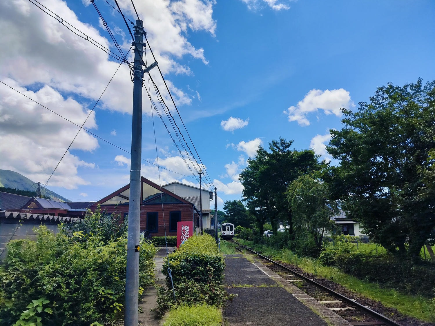 熊本景點南阿蘇┃立野站「南阿蘇鐵道」三款列車預約教學 高森站海賊迷佛朗基像 高森老街百年酒造醬油 赤牛漢堡排 - 第83張圖 熊本景點南阿蘇┃立野站「南阿蘇鐵道」三款列車預約教學 高森站海賊迷佛朗基像 高森老街百年酒造醬油 赤牛漢堡排