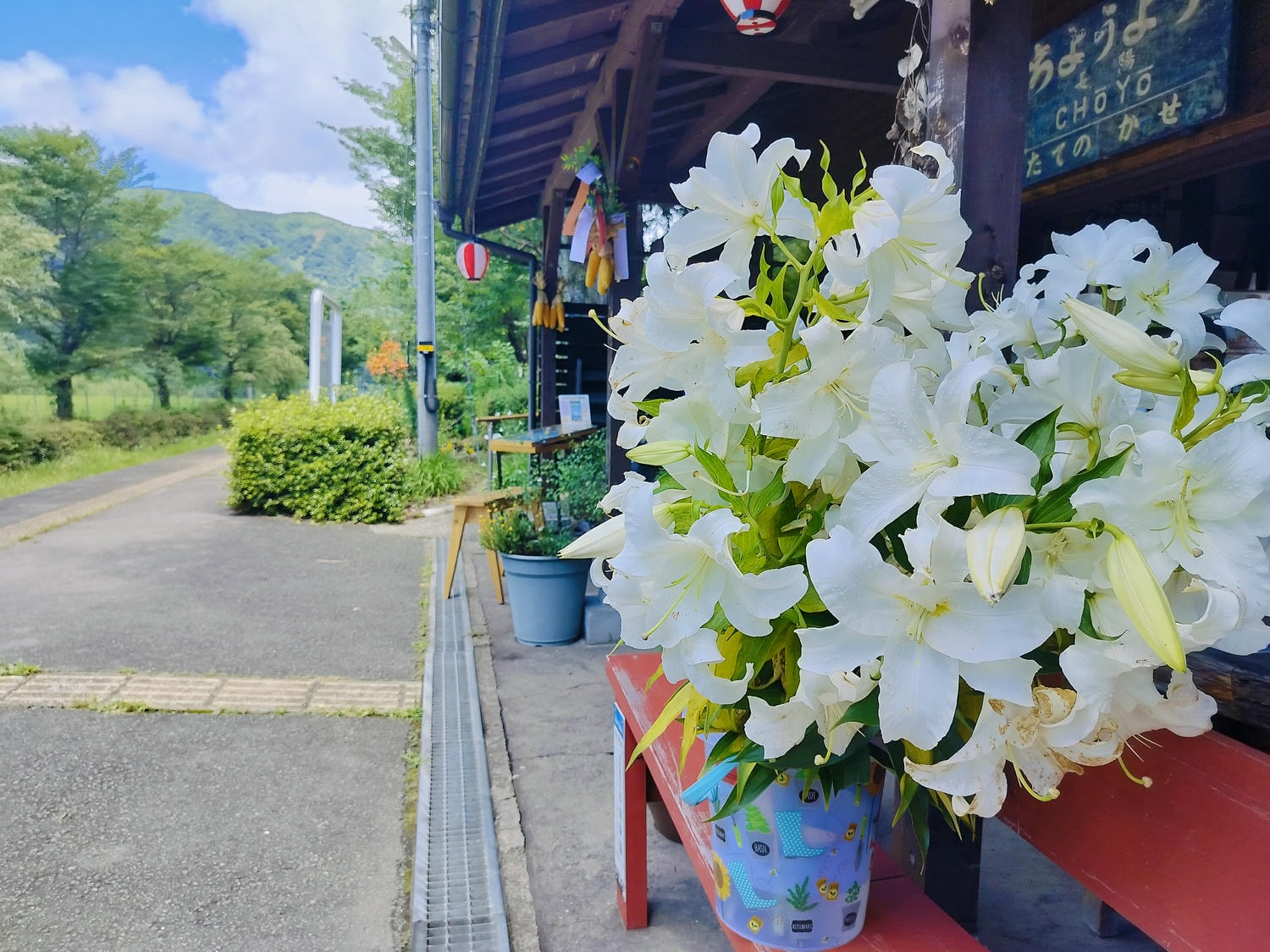 熊本景點南阿蘇┃立野站「南阿蘇鐵道」三款列車預約教學 高森站海賊迷佛朗基像 高森老街百年酒造醬油 赤牛漢堡排 - 第87張圖 熊本景點南阿蘇┃立野站「南阿蘇鐵道」三款列車預約教學 高森站海賊迷佛朗基像 高森老街百年酒造醬油 赤牛漢堡排