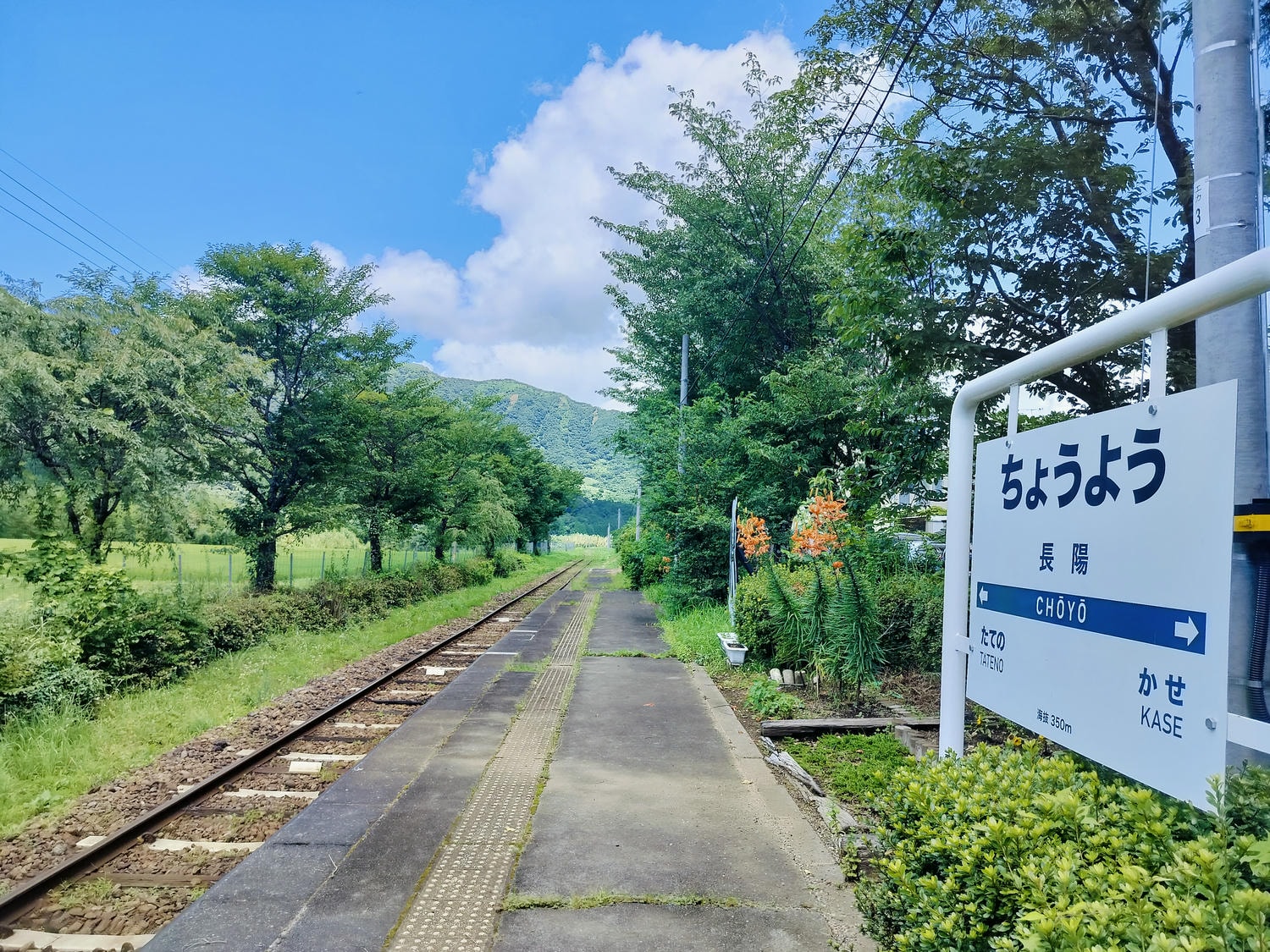 熊本景點南阿蘇┃立野站「南阿蘇鐵道」三款列車預約教學 高森站海賊迷佛朗基像 高森老街百年酒造醬油 赤牛漢堡排 - 第81張圖 熊本景點南阿蘇┃立野站「南阿蘇鐵道」三款列車預約教學 高森站海賊迷佛朗基像 高森老街百年酒造醬油 赤牛漢堡排