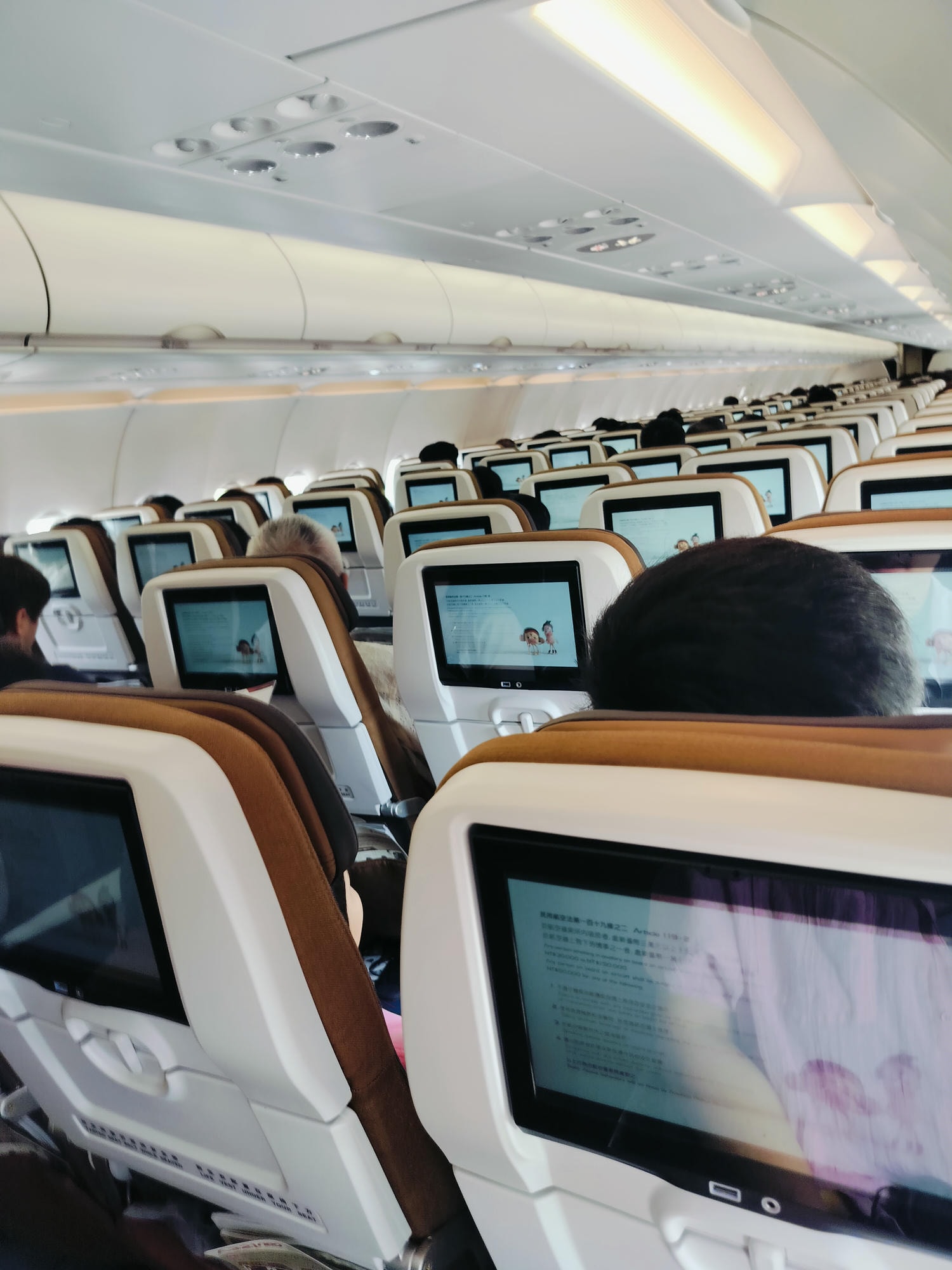 星宇航空┃ STARLUX Airlines星宇飛行記錄 星宇直飛熊本 德島 關西 名古屋 機上餐調酒圖多スターラックス航空