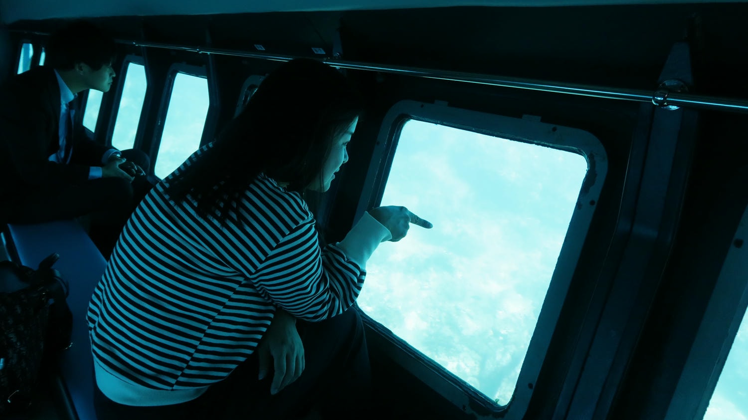 德島南部景點┃招財貓神社阿松大權現 遍路23番太龍寺 鐵道路兩用車DMV 除厄神社藥王寺 海中珊瑚船 日和佐海龜博物館 - 第31張圖 德島南部景點┃招財貓神社阿松大權現 遍路23番太龍寺 鐵道路兩用車DMV 除厄神社藥王寺 海中珊瑚船 日和佐海龜博物館