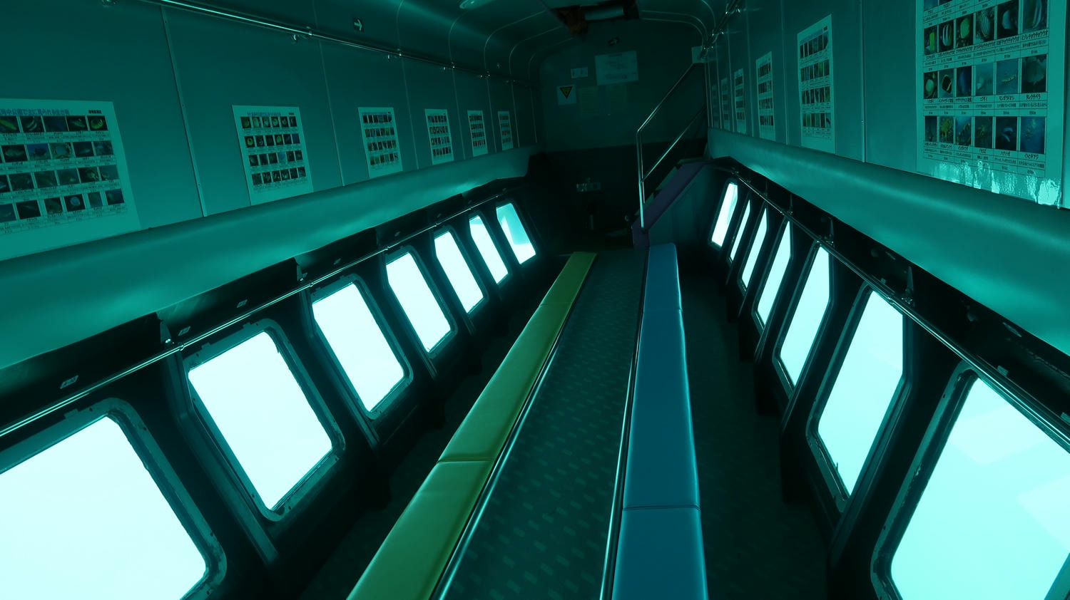 德島南部景點┃招財貓神社阿松大權現 遍路23番太龍寺 鐵道路兩用車DMV 除厄神社藥王寺 海中珊瑚船 日和佐海龜博物館 - 第32張圖 德島南部景點┃招財貓神社阿松大權現 遍路23番太龍寺 鐵道路兩用車DMV 除厄神社藥王寺 海中珊瑚船 日和佐海龜博物館