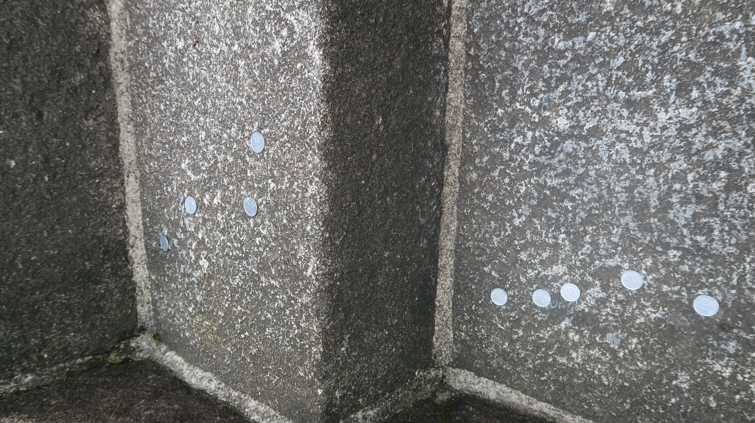 德島南部景點┃招財貓神社阿松大權現 遍路23番太龍寺 鐵道路兩用車DMV 除厄神社藥王寺 海中珊瑚船 日和佐海龜博物館 - 第25張圖 德島南部景點┃招財貓神社阿松大權現 遍路23番太龍寺 鐵道路兩用車DMV 除厄神社藥王寺 海中珊瑚船 日和佐海龜博物館