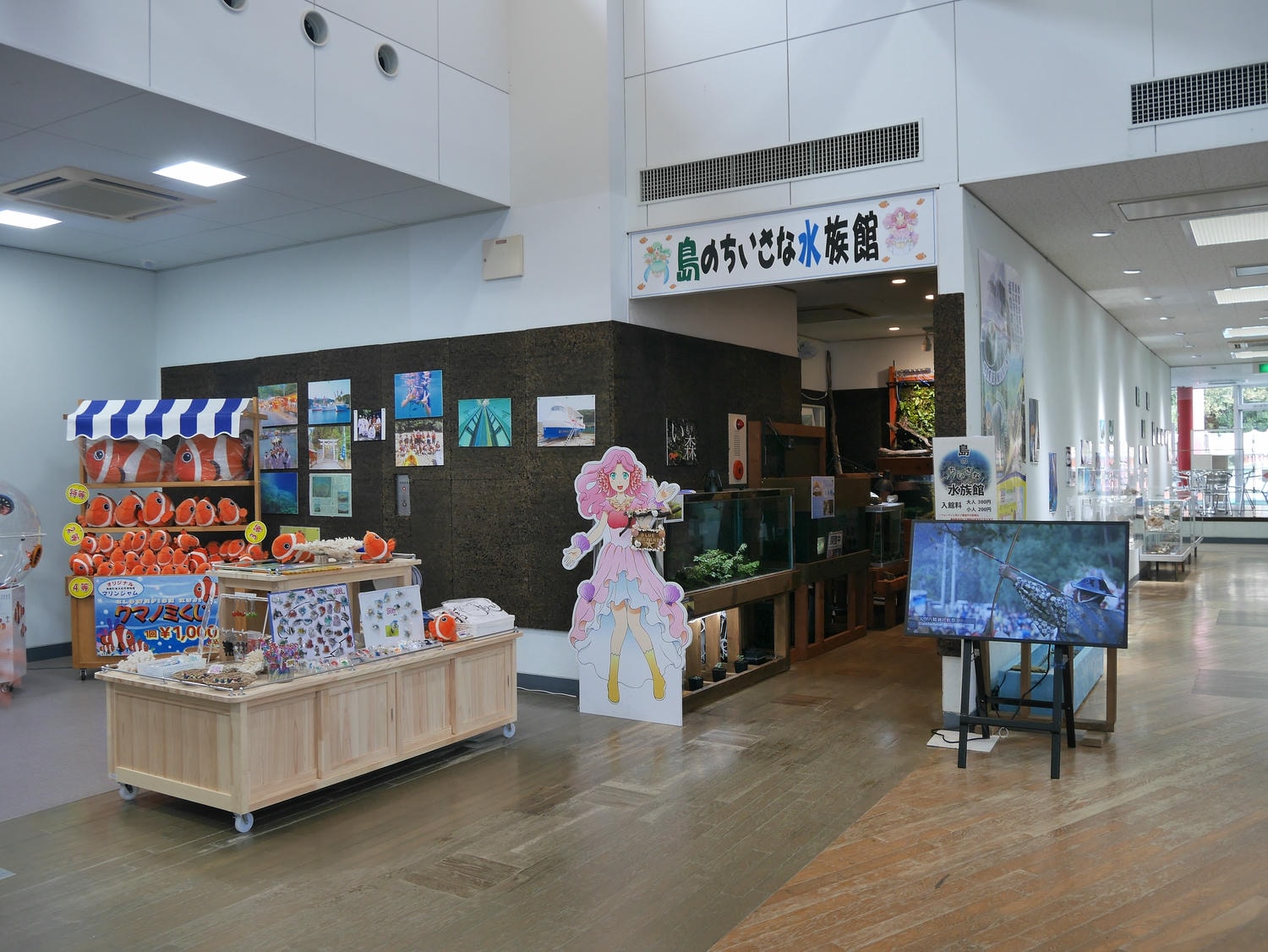 德島南部景點┃招財貓神社阿松大權現 遍路23番太龍寺 鐵道路兩用車DMV 除厄神社藥王寺 海中珊瑚船 日和佐海龜博物館 - 第36張圖 德島南部景點┃招財貓神社阿松大權現 遍路23番太龍寺 鐵道路兩用車DMV 除厄神社藥王寺 海中珊瑚船 日和佐海龜博物館