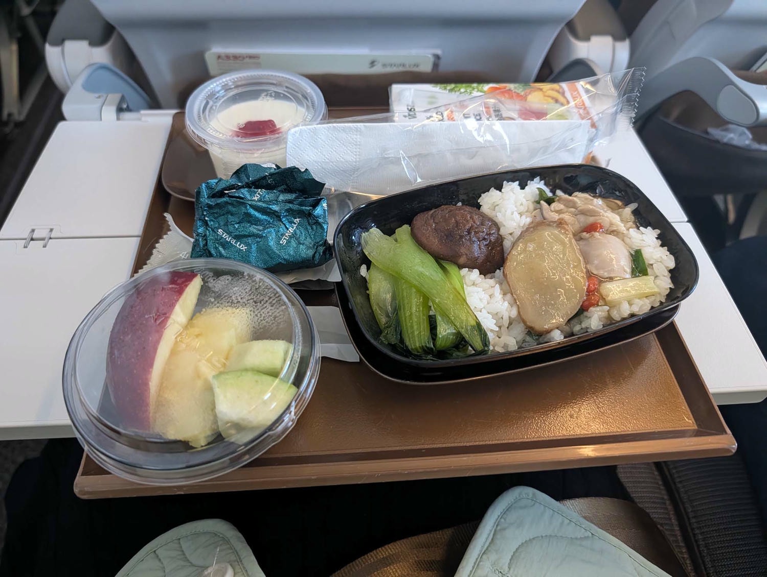星宇航空┃ STARLUX Airlines星宇飛行記錄 星宇直飛熊本 德島 關西 名古屋 機上餐調酒圖多スターラックス航空
