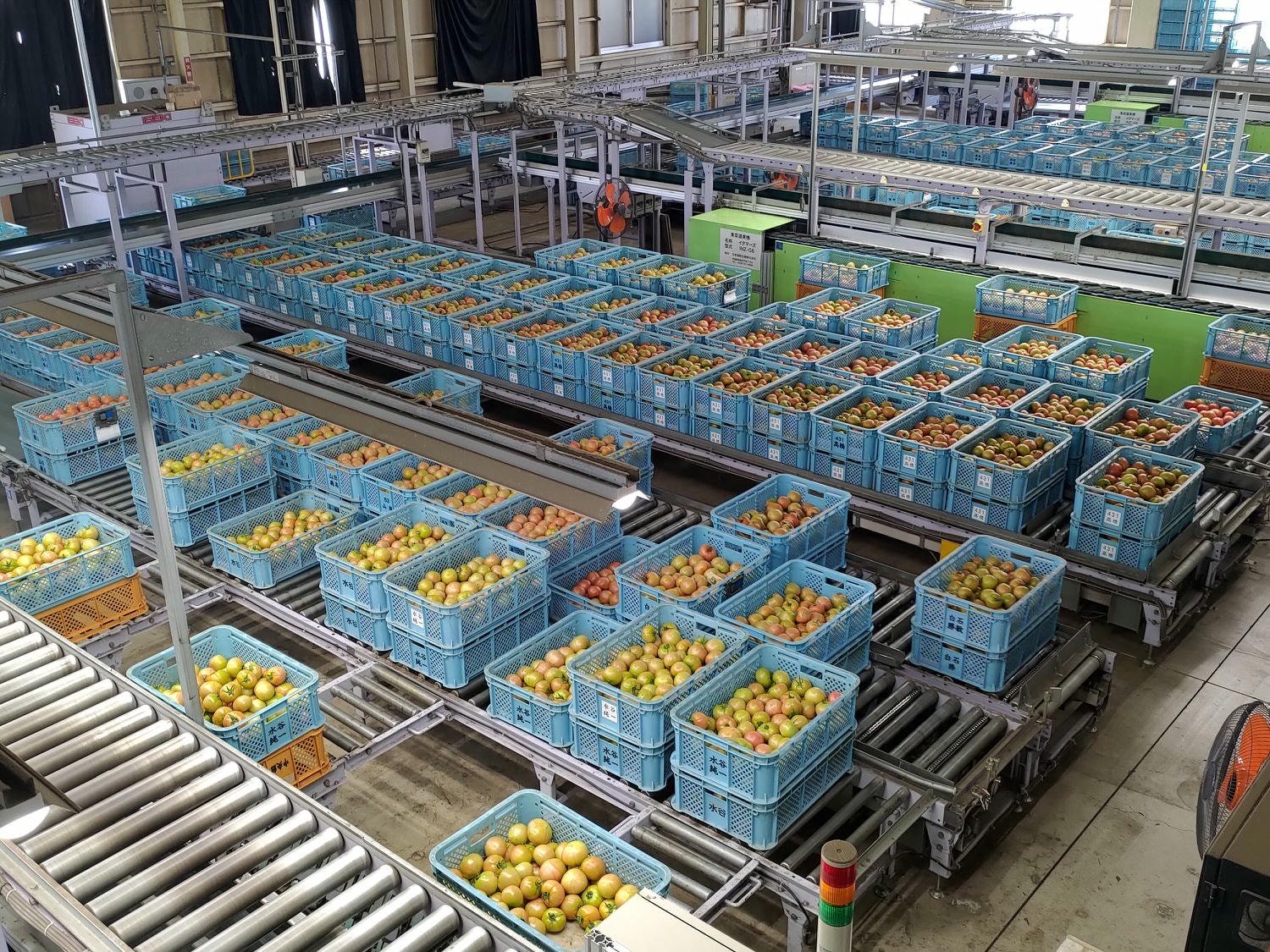 活動紀錄┃台日農業交流 「農業部X熊本縣」 地方創生 里山倡義食農教育 行程規劃中日主持 台日コーディネーター