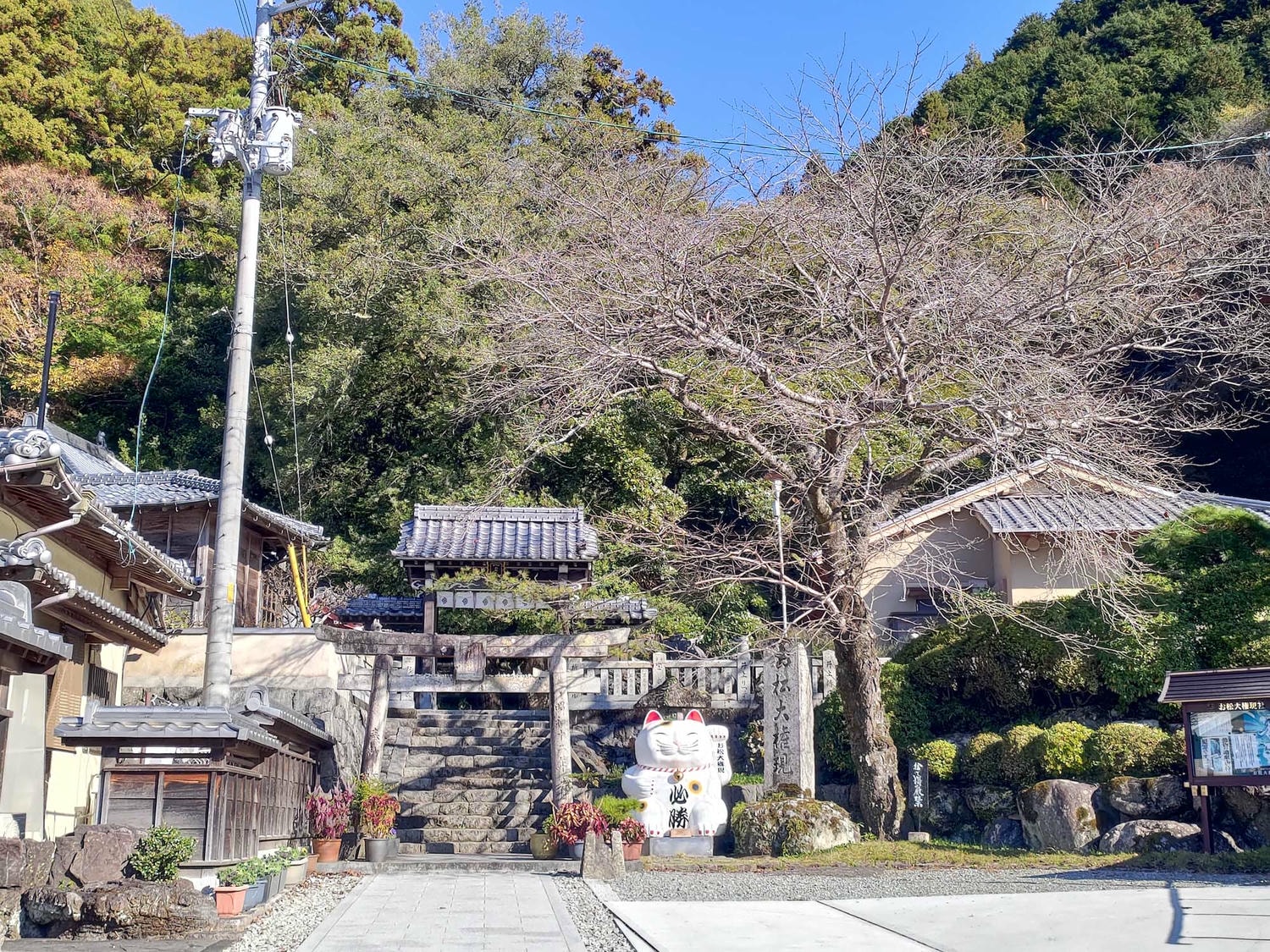 德島南部┃愛貓復仇成功!「阿松大權現」1萬隻招財貓神社 JR阿南轉巴士 訴松必勝商業繁榮試驗合格 お松大権現 - 第23張圖 德島南部┃愛貓復仇成功!「阿松大權現」1萬隻招財貓神社 JR阿南轉巴士 訴松必勝商業繁榮試驗合格 お松大権現