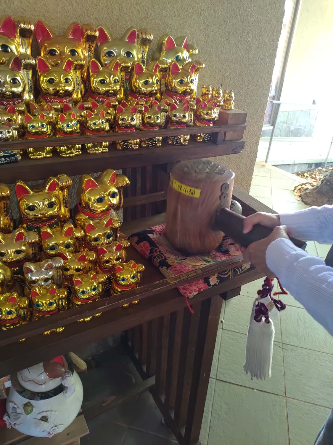 德島南部┃愛貓復仇成功!「阿松大權現」1萬隻招財貓神社 JR阿南轉巴士 訴松必勝商業繁榮試驗合格 お松大権現 - 第31張圖 德島南部┃愛貓復仇成功!「阿松大權現」1萬隻招財貓神社 JR阿南轉巴士 訴松必勝商業繁榮試驗合格 お松大権現