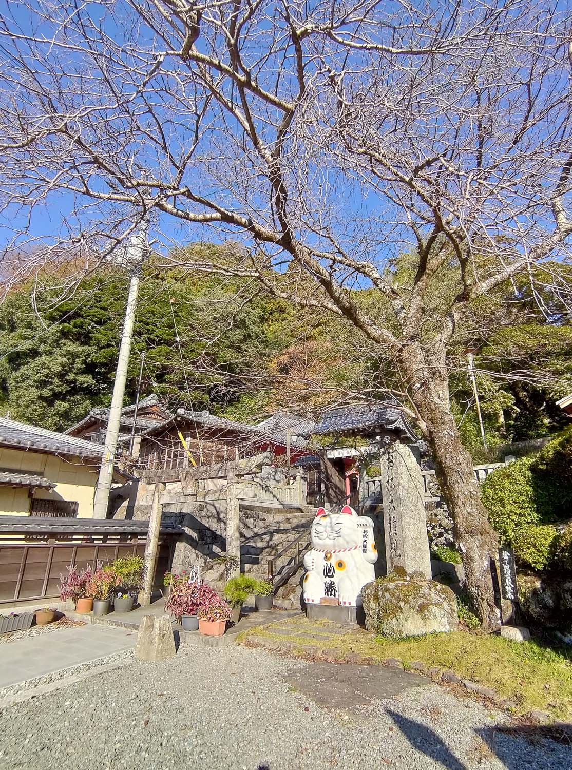 德島南部┃愛貓復仇成功!「阿松大權現」1萬隻招財貓神社 JR阿南轉巴士 訴松必勝商業繁榮試驗合格 お松大権現 - 第25張圖 德島南部┃愛貓復仇成功!「阿松大權現」1萬隻招財貓神社 JR阿南轉巴士 訴松必勝商業繁榮試驗合格 お松大権現