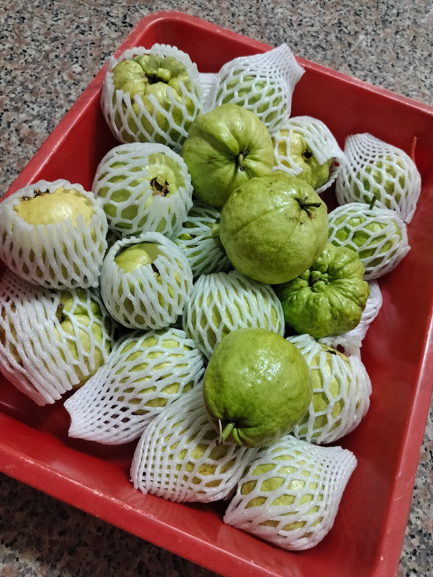 日常記錄┃爸爸種的菜-醜豆蒲瓜 皇帝豆小蕃茄 芭藥火龍果清明包潤餅 手作蛋糕超專業 父さんが育てる台湾野菜果物