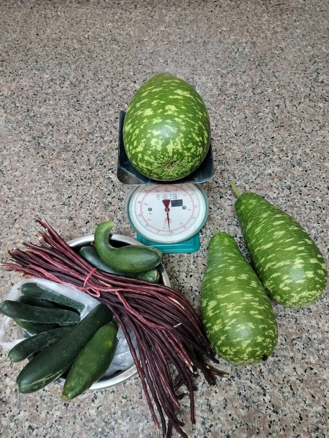 日常記錄┃爸爸種的菜-醜豆蒲瓜 皇帝豆小蕃茄 芭藥火龍果清明包潤餅 手作蛋糕超專業 父さんが育てる台湾野菜果物