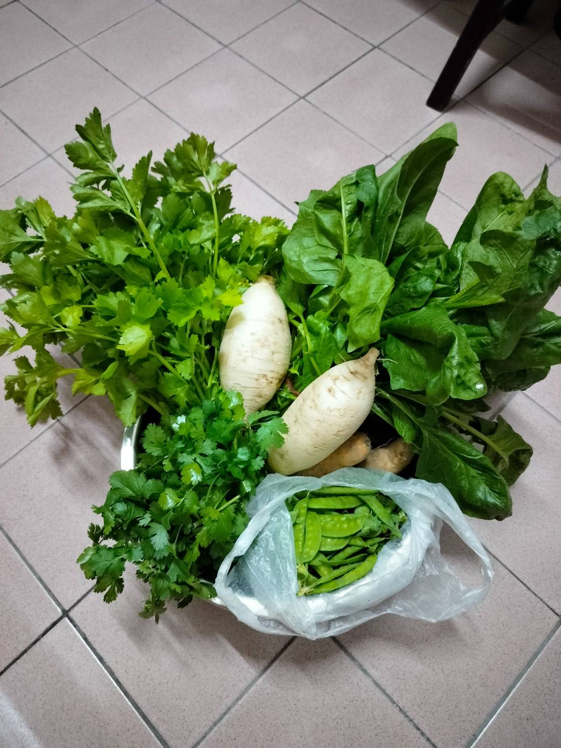 日常記錄┃爸爸種的菜-醜豆蒲瓜 皇帝豆小蕃茄 芭藥火龍果清明包潤餅 手作蛋糕超專業 父さんが育てる台湾野菜果物