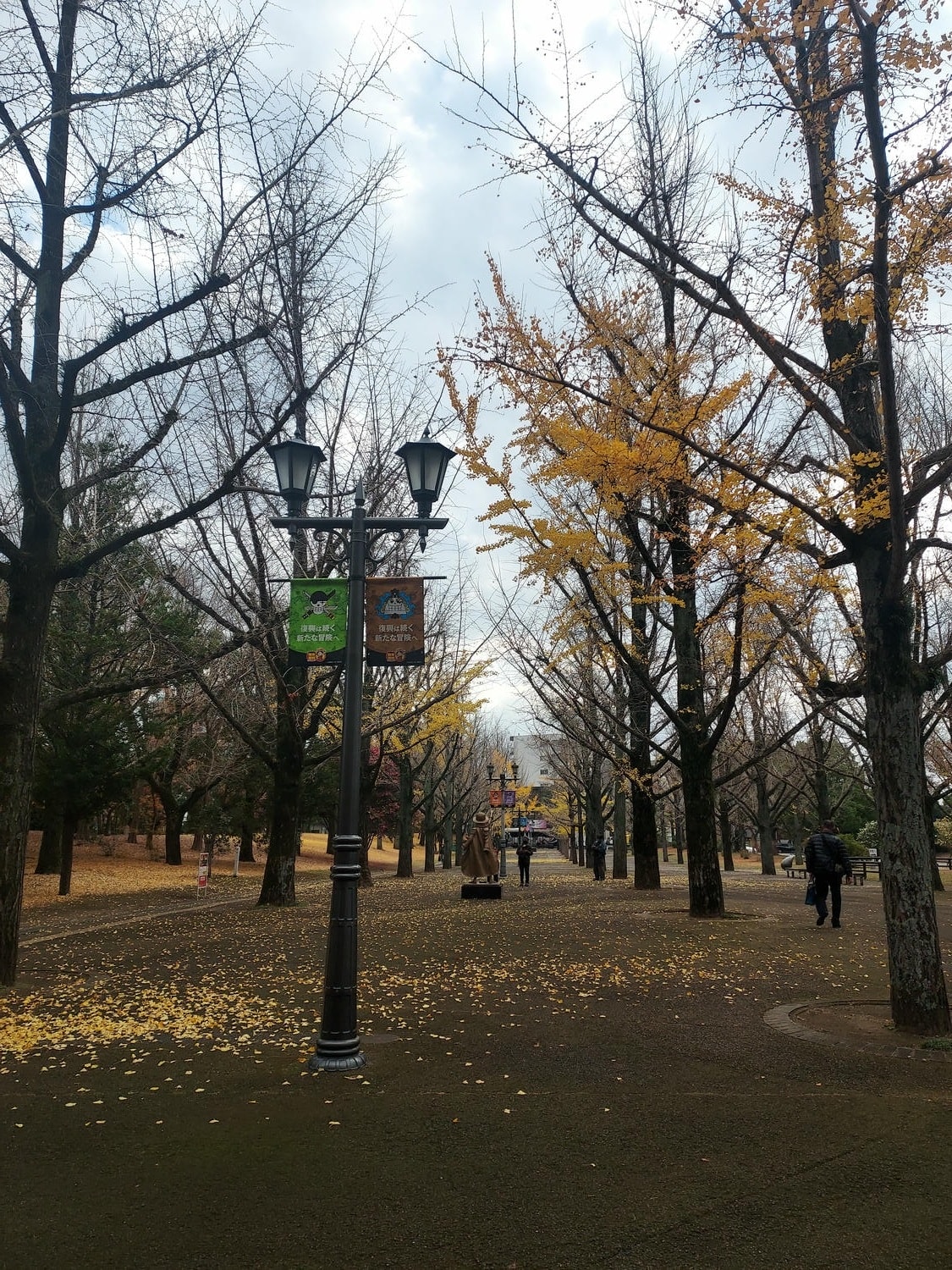 熊本景點┃草帽海賊團10座銅像捕獲 熊本自由行海賊迷 高森佛朗基縣廳魯夫 萌之里娜美 索隆喬巴香吉士 布魯克騙人布