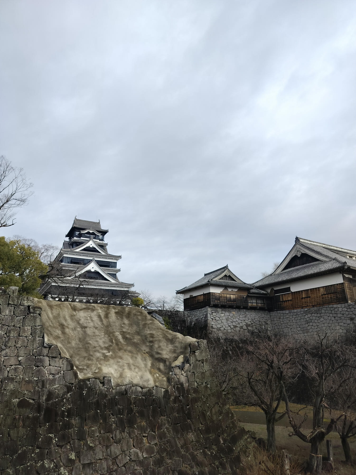 九州熊本┃四季熊本城 秋楓春櫻冬也美 天守閣復活登三次 湧湧座體驗歷史 賞櫻夜櫻超大銀杏 日本三大名城 - 第41張圖 九州熊本┃四季熊本城 秋楓春櫻冬也美 天守閣復活登三次 湧湧座體驗歷史 賞櫻夜櫻超大銀杏 日本三大名城