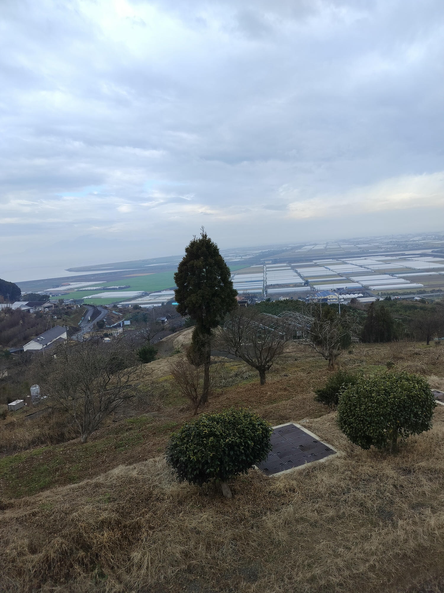 熊本自由行北部玉名┃ 夏目漱石名作草忱溫泉 百年橘子園水本ORANGE GARDEN採果 蓮華院誕生寺 桃苑豚骨拉麵 - 第29張圖 熊本自由行北部玉名┃ 夏目漱石名作草忱溫泉 百年橘子園水本ORANGE GARDEN採果 蓮華院誕生寺 桃苑豚骨拉麵