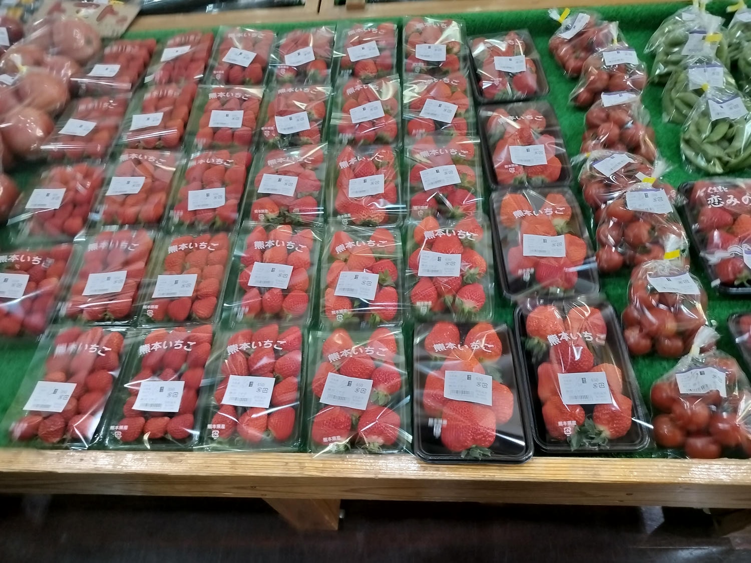 熊本自由行北部玉名┃ 夏目漱石名作草忱溫泉 百年橘子園水本ORANGE GARDEN採果 蓮華院誕生寺 桃苑豚骨拉麵 - 第33張圖 熊本自由行北部玉名┃ 夏目漱石名作草忱溫泉 百年橘子園水本ORANGE GARDEN採果 蓮華院誕生寺 桃苑豚骨拉麵