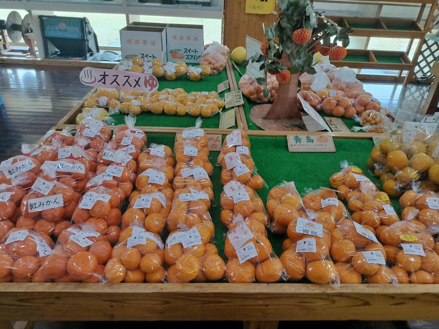 熊本自由行北部玉名┃ 夏目漱石名作草忱溫泉 百年橘子園水本ORANGE GARDEN採果 蓮華院誕生寺 桃苑豚骨拉麵 - 第34張圖 熊本自由行北部玉名┃ 夏目漱石名作草忱溫泉 百年橘子園水本ORANGE GARDEN採果 蓮華院誕生寺 桃苑豚骨拉麵