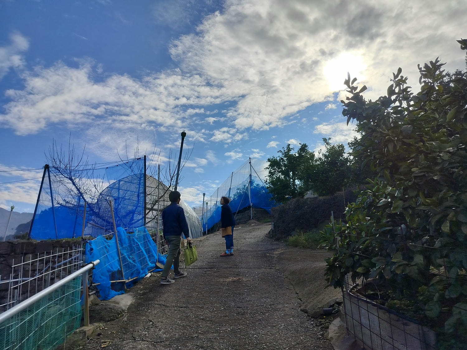 熊本自由行北部玉名┃ 夏目漱石名作草忱溫泉 百年橘子園水本ORANGE GARDEN採果 蓮華院誕生寺 桃苑豚骨拉麵 - 第8張圖 熊本自由行北部玉名┃ 夏目漱石名作草忱溫泉 百年橘子園水本ORANGE GARDEN採果 蓮華院誕生寺 桃苑豚骨拉麵