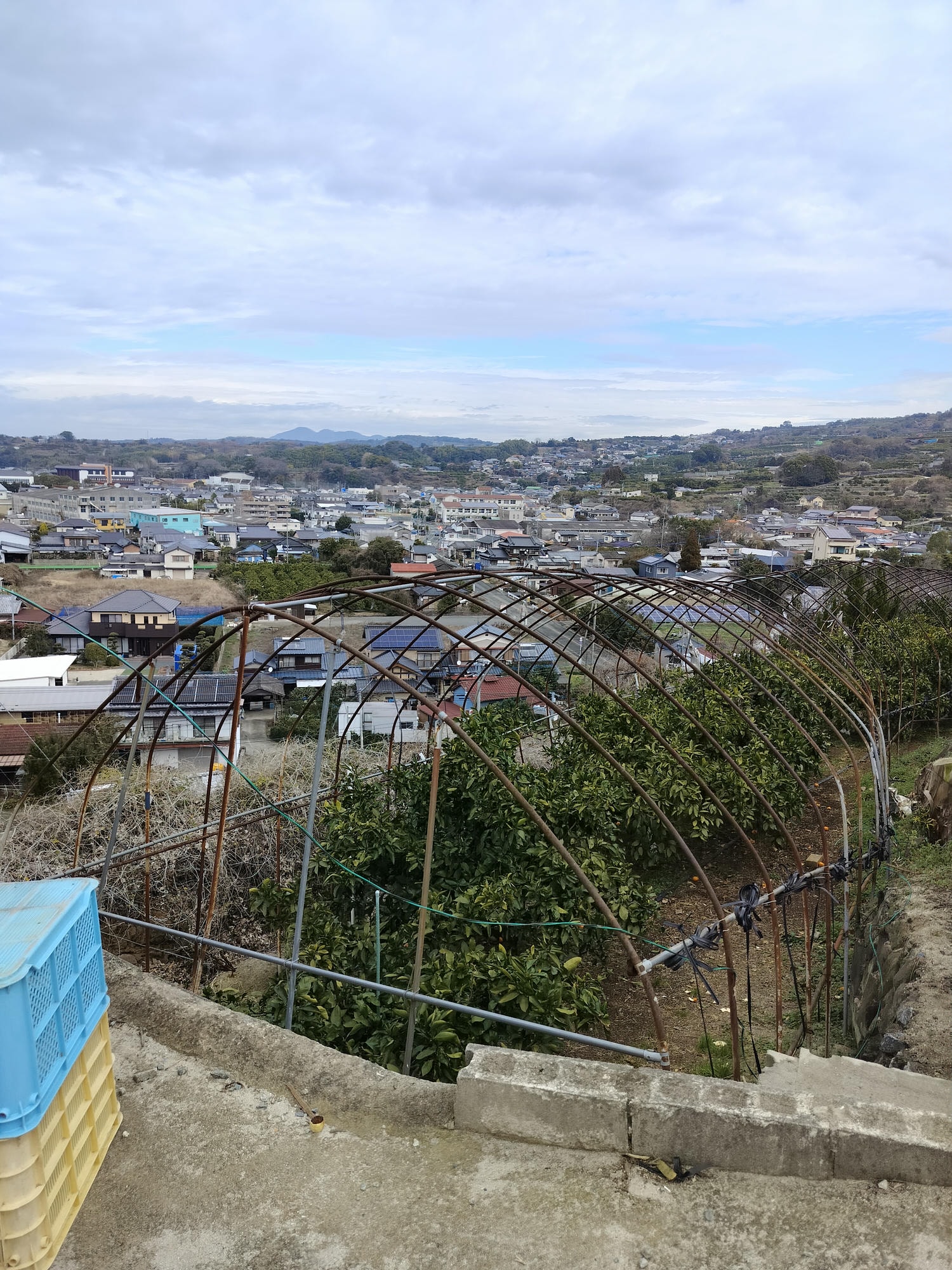 熊本自由行北部玉名┃ 夏目漱石名作草忱溫泉 百年橘子園水本ORANGE GARDEN採果 蓮華院誕生寺 桃苑豚骨拉麵 - 第20張圖 熊本自由行北部玉名┃ 夏目漱石名作草忱溫泉 百年橘子園水本ORANGE GARDEN採果 蓮華院誕生寺 桃苑豚骨拉麵