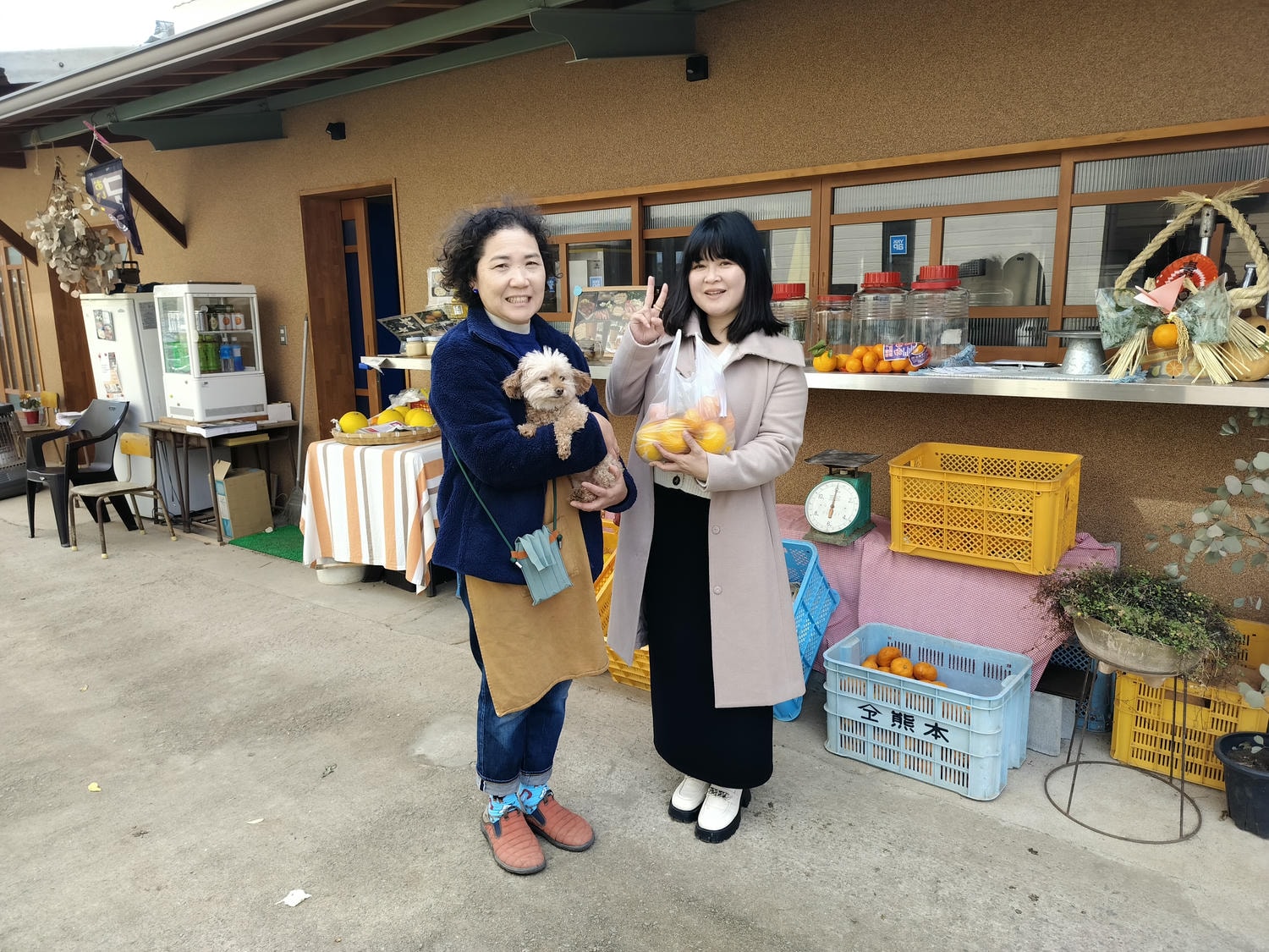 熊本自由行北部玉名┃ 夏目漱石名作草忱溫泉 百年橘子園水本ORANGE GARDEN採果 蓮華院誕生寺 桃苑豚骨拉麵 - 第15張圖 熊本自由行北部玉名┃ 夏目漱石名作草忱溫泉 百年橘子園水本ORANGE GARDEN採果 蓮華院誕生寺 桃苑豚骨拉麵