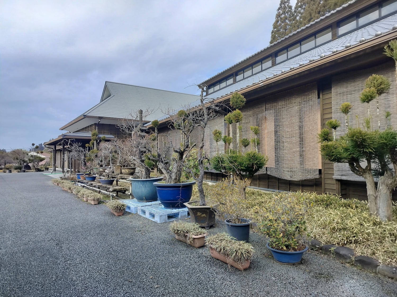 熊本玉名餐廳┃大團自駕推薦!菊水之里(きくすいの里)吃午餐買伴手禮 套餐吃很飽大蕃茄超好吃!服務親切停車場大巴ok