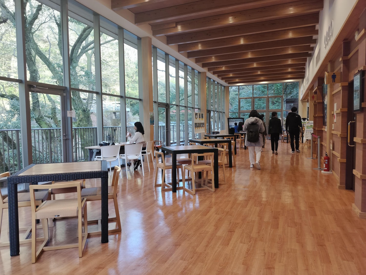 九州熊本┃阿蘇國立公園百選森林浴-菊池溪谷 網美哈密瓜巨蛋館買名產 熊本縣菊池市自駕推薦!