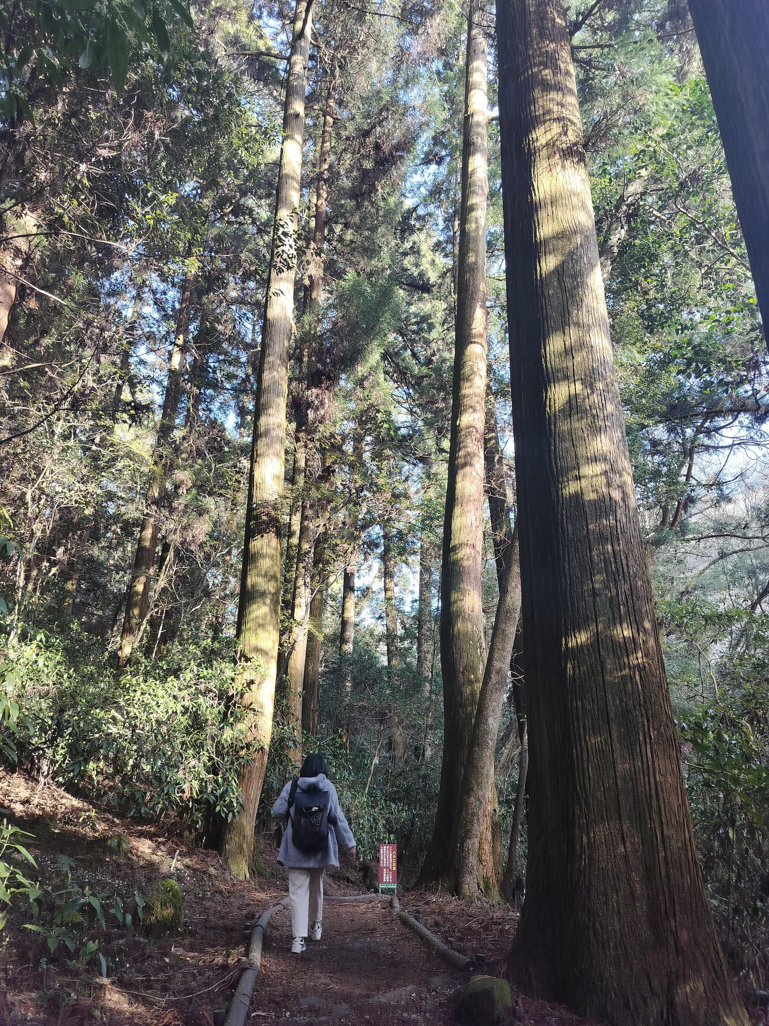 九州熊本┃阿蘇國立公園百選森林浴-菊池溪谷 網美哈密瓜巨蛋館買名產 熊本縣菊池市自駕推薦!