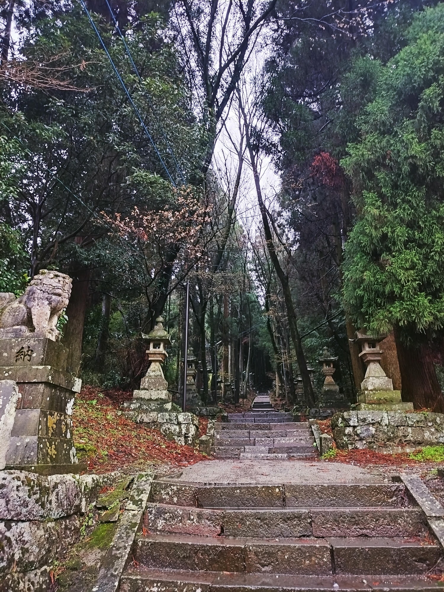 熊本自由行┃交通不難!大晴+大雨二種神秘「上色見熊野座神社」97座石燈籠置身異世界 南阿蘇高森站搭巴士計程車 - 第6張圖 熊本自由行┃交通不難!大晴+大雨二種神秘「上色見熊野座神社」97座石燈籠置身異世界 南阿蘇高森站搭巴士計程車