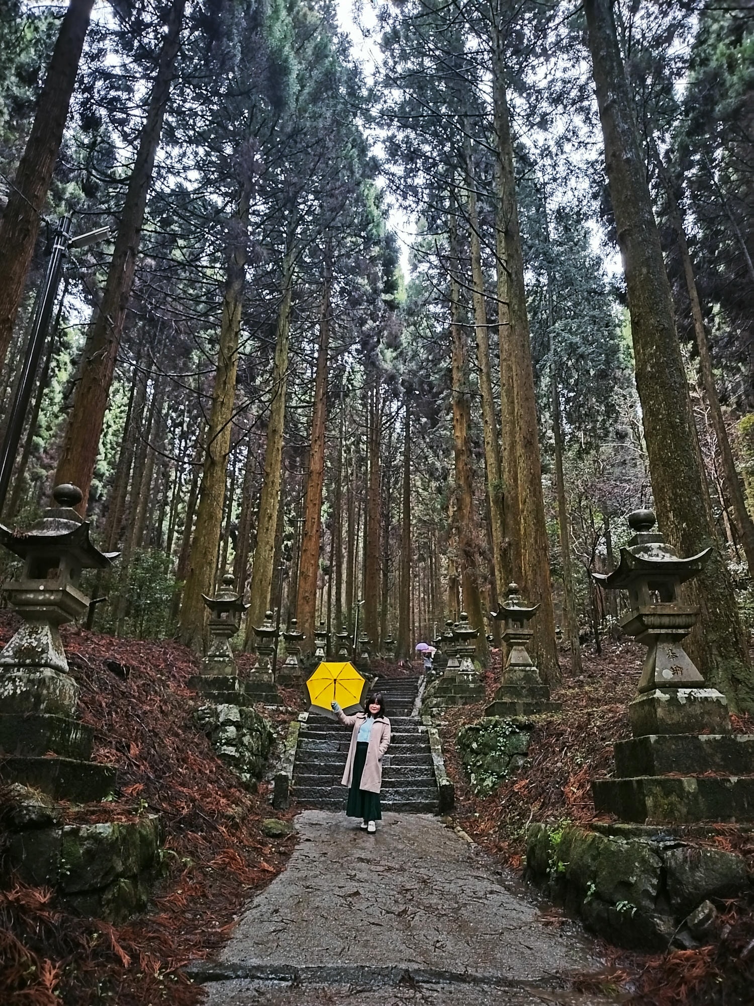 熊本自由行┃交通不難!大晴+大雨二種神秘「上色見熊野座神社」97座石燈籠置身異世界 南阿蘇高森站搭巴士計程車 - 第7張圖 熊本自由行┃交通不難!大晴+大雨二種神秘「上色見熊野座神社」97座石燈籠置身異世界 南阿蘇高森站搭巴士計程車